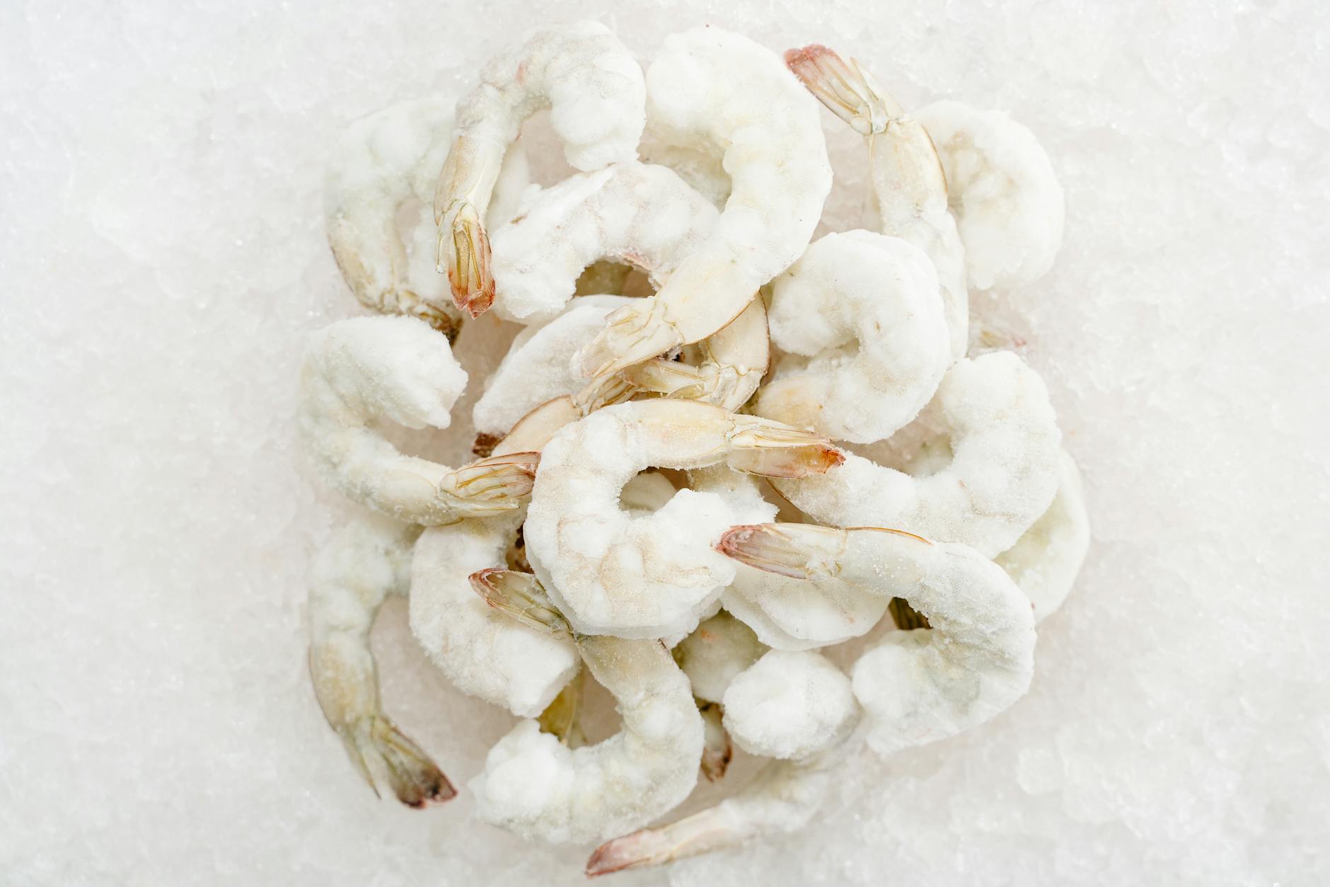 Frozen Seafood Food