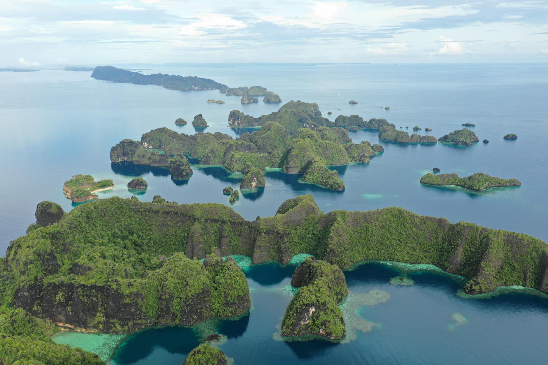 Raja Ampat Islands Marine Biodiversity