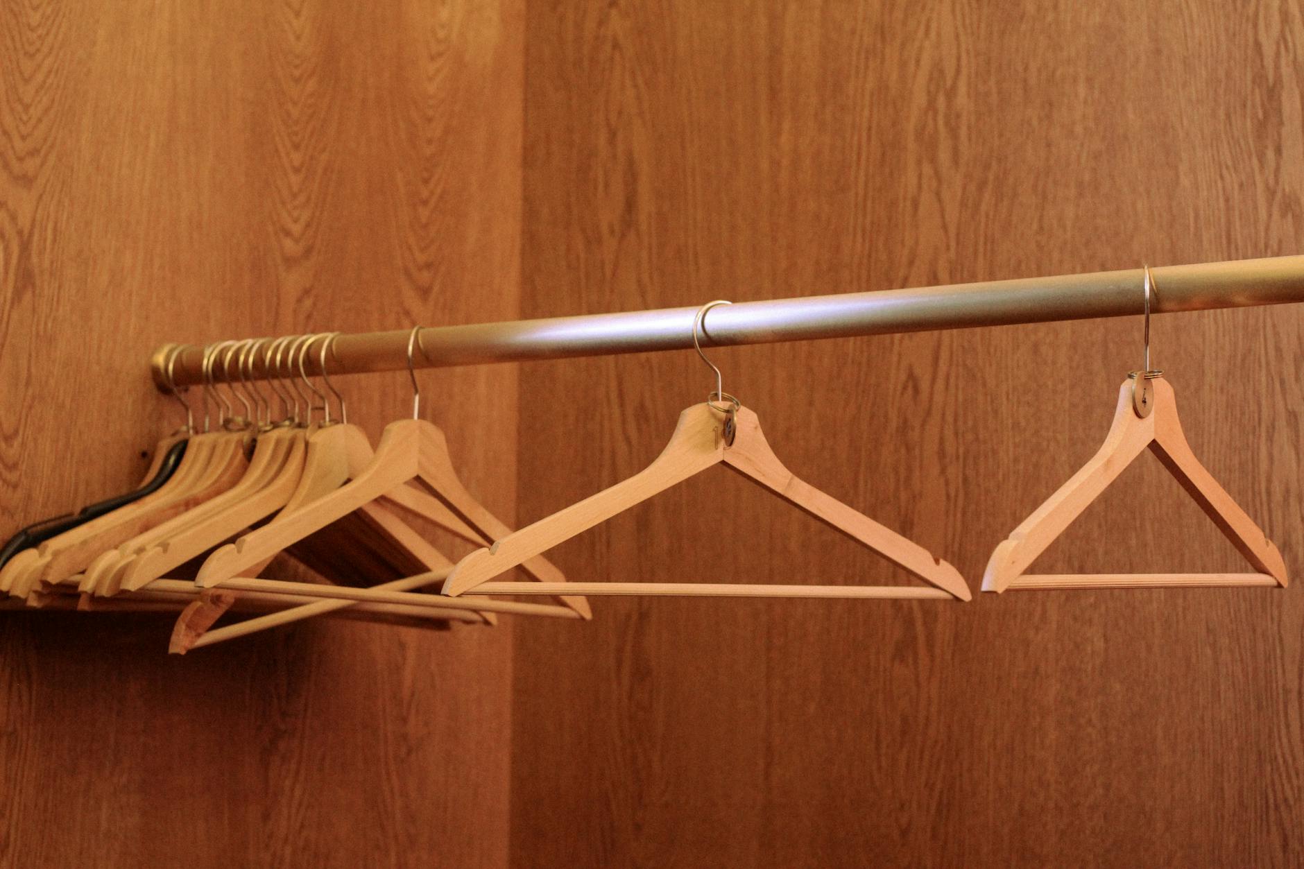 Retractable Valet Rod Closet Organization