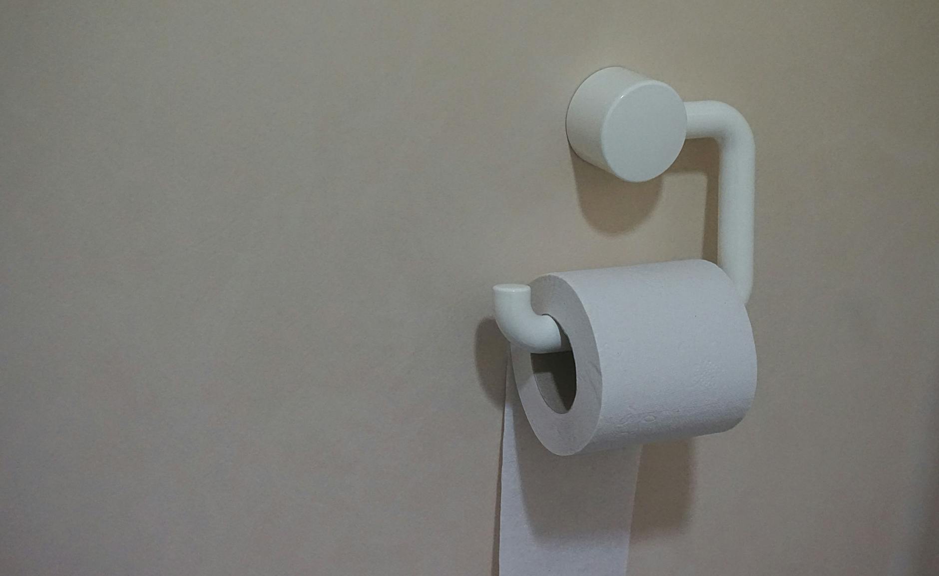 Toilet Seat Support