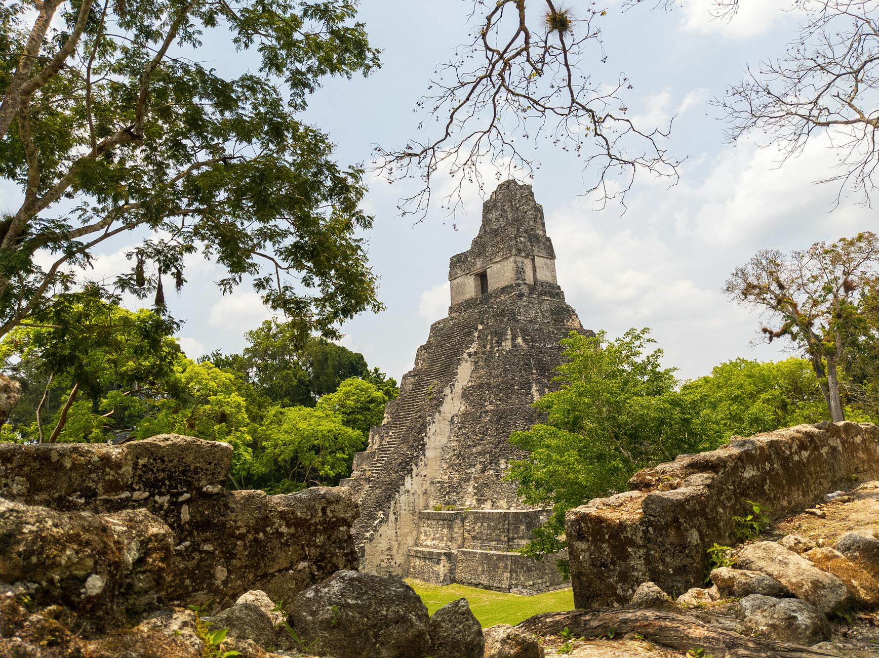 Tikal Ancient Maya Citadel Guatemala Rainforest