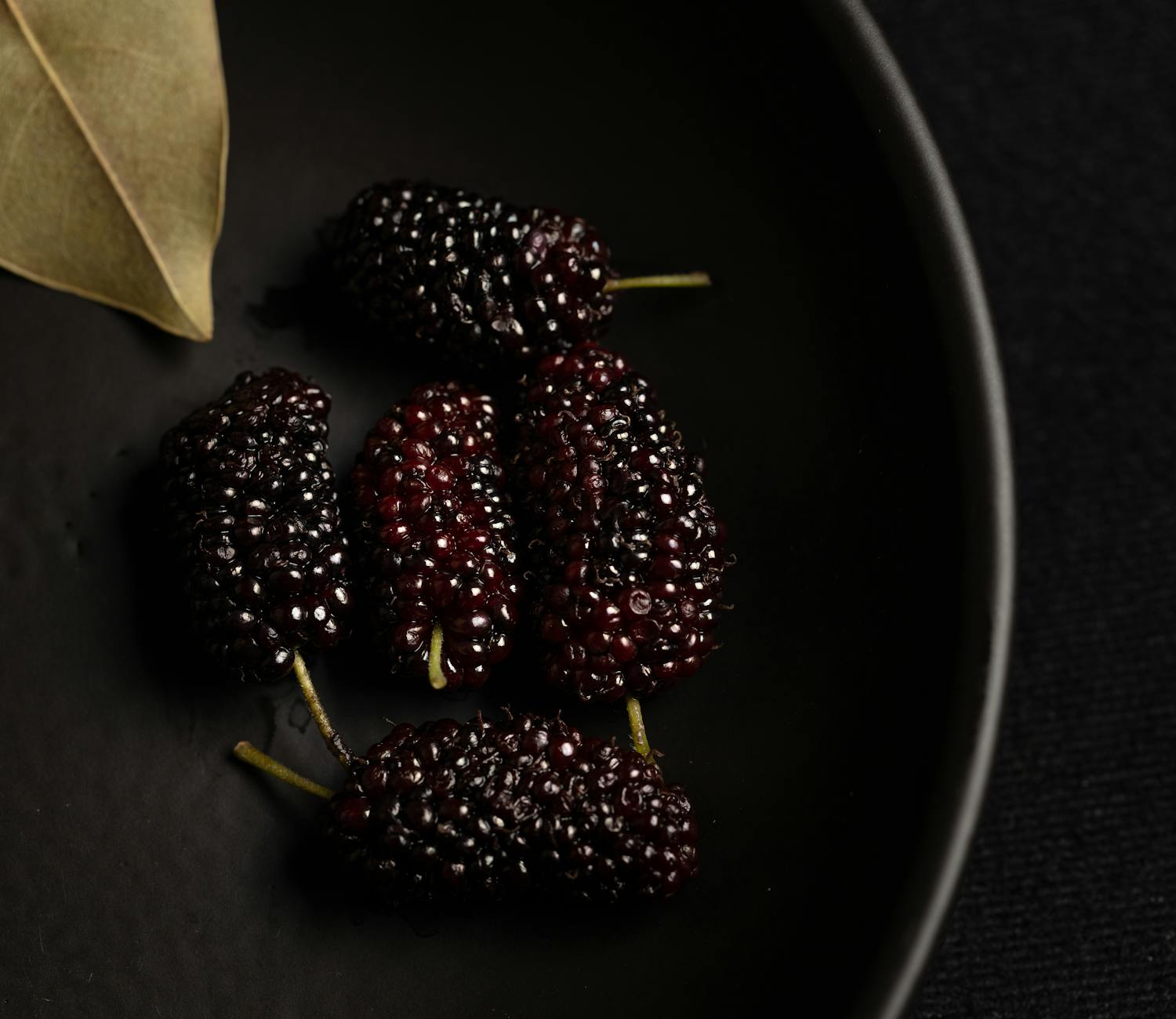 Mulberry Fruit