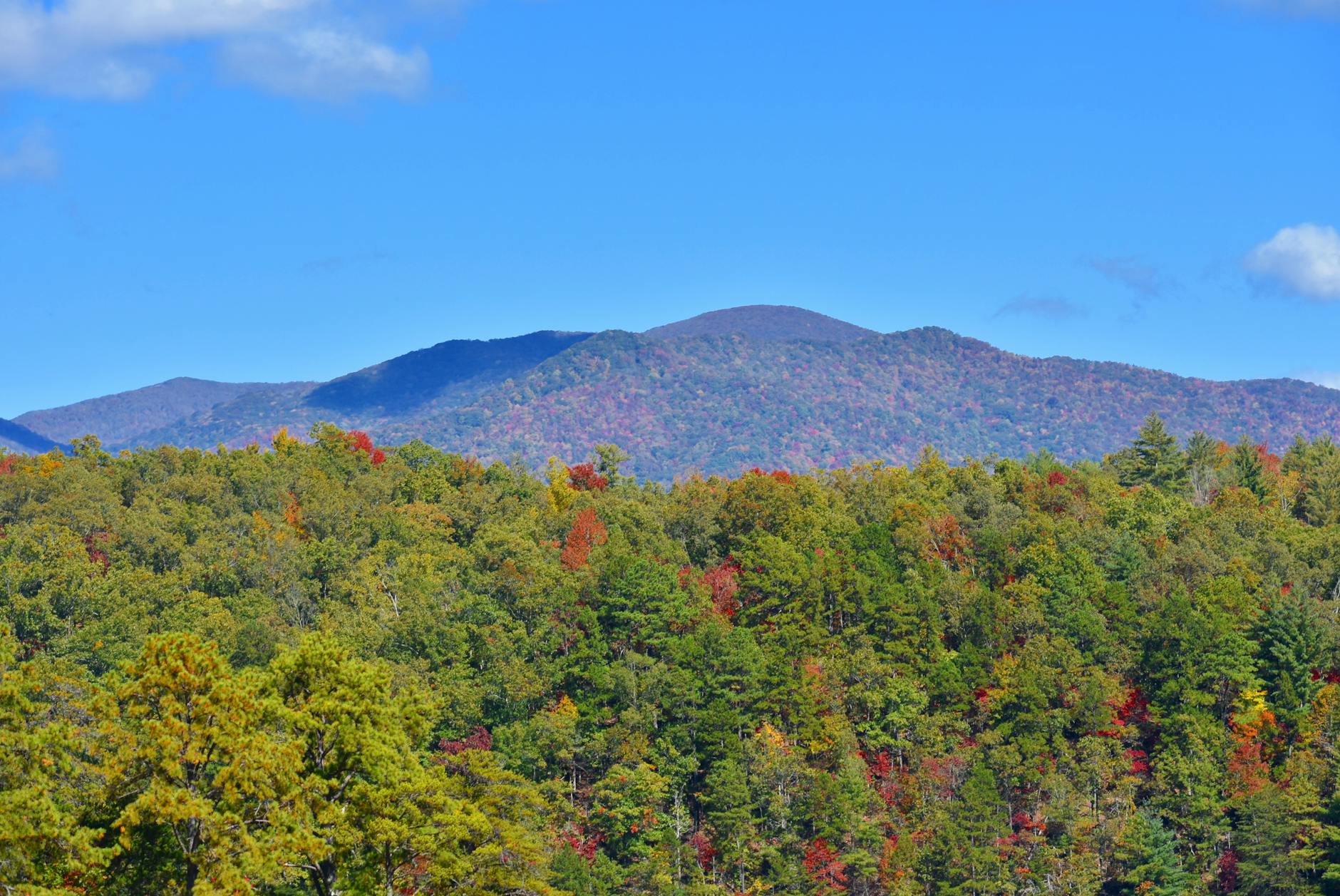 Great Smoky Mountains National Park Mist-covered Peaks Lush Forests Hiking Trails Wildlife Black Bears Elk Autumn Foliage
