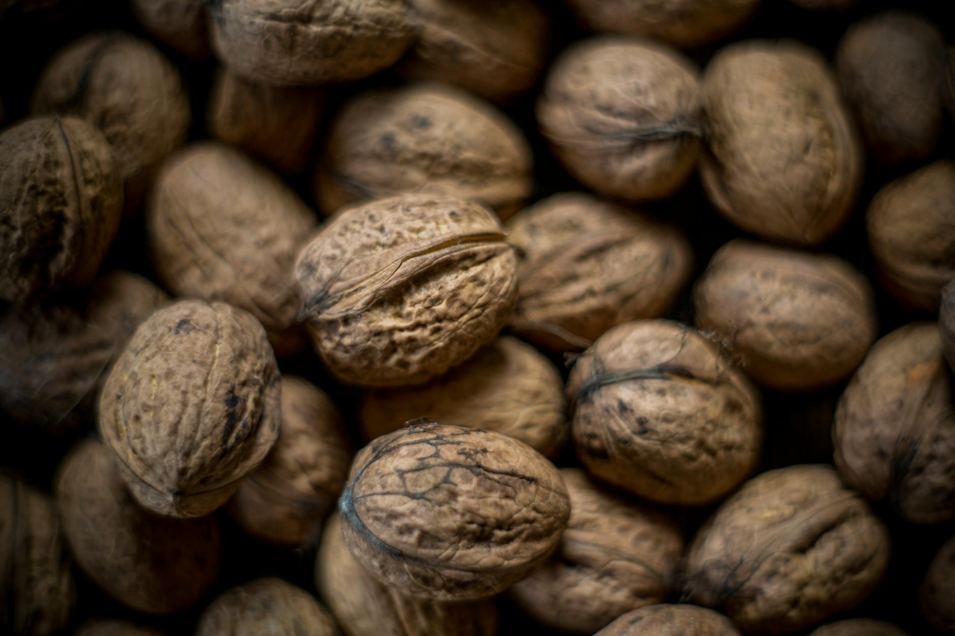 Walnuts Brain Health Omega 3 Fatty Acids