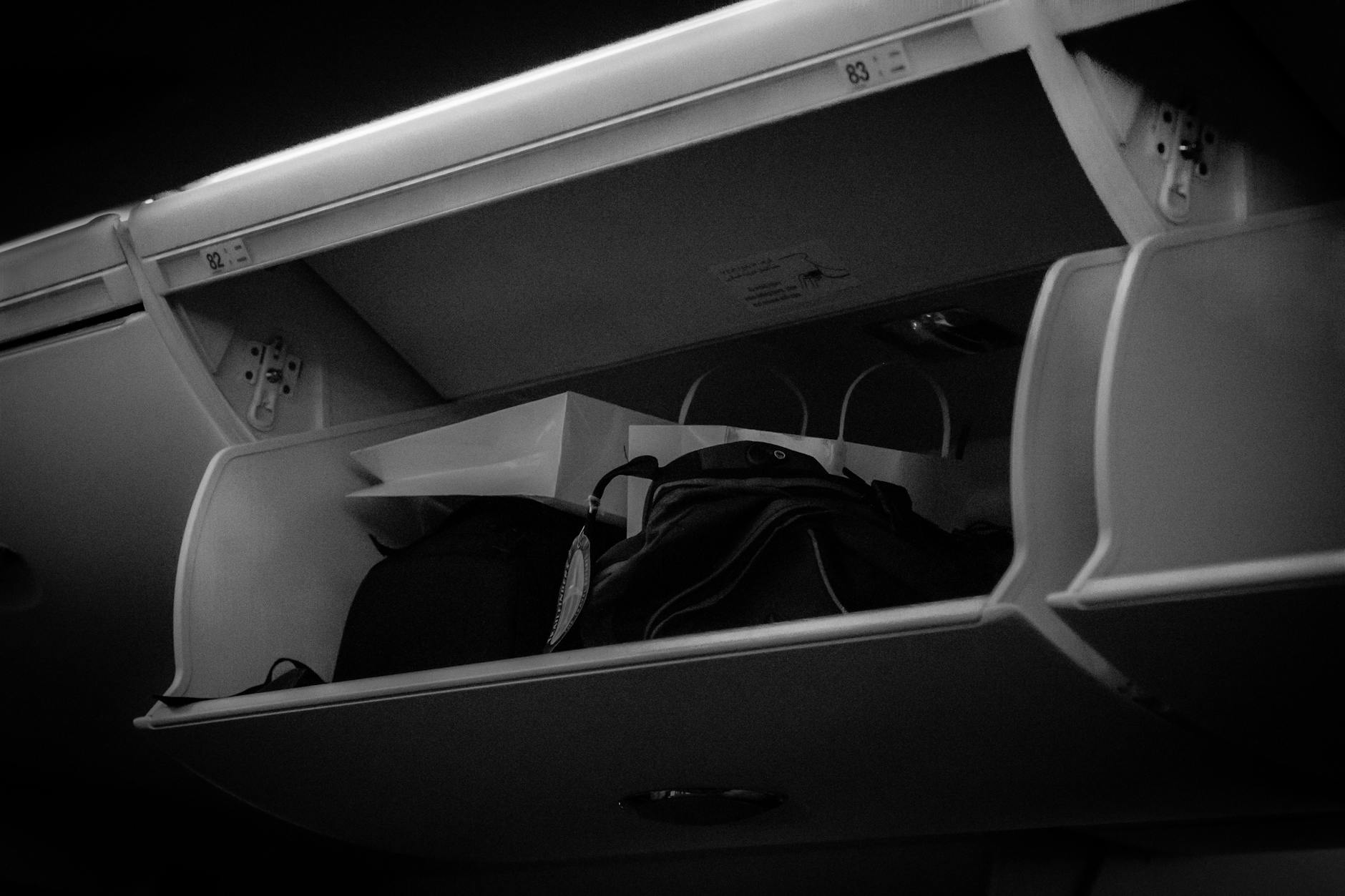 Flight Attendant Passenger Luggage Overhead Bin