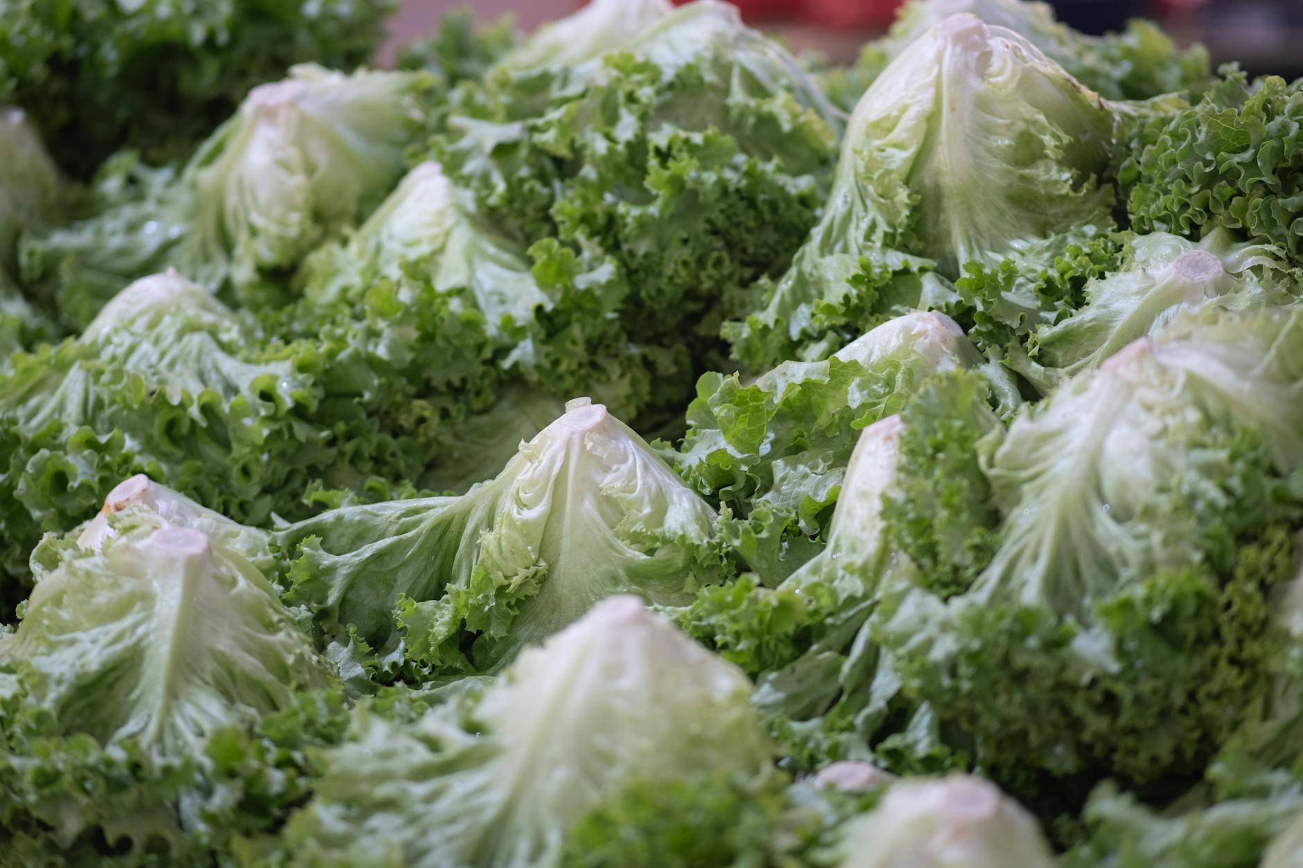 Iceberg Lettuce Salad