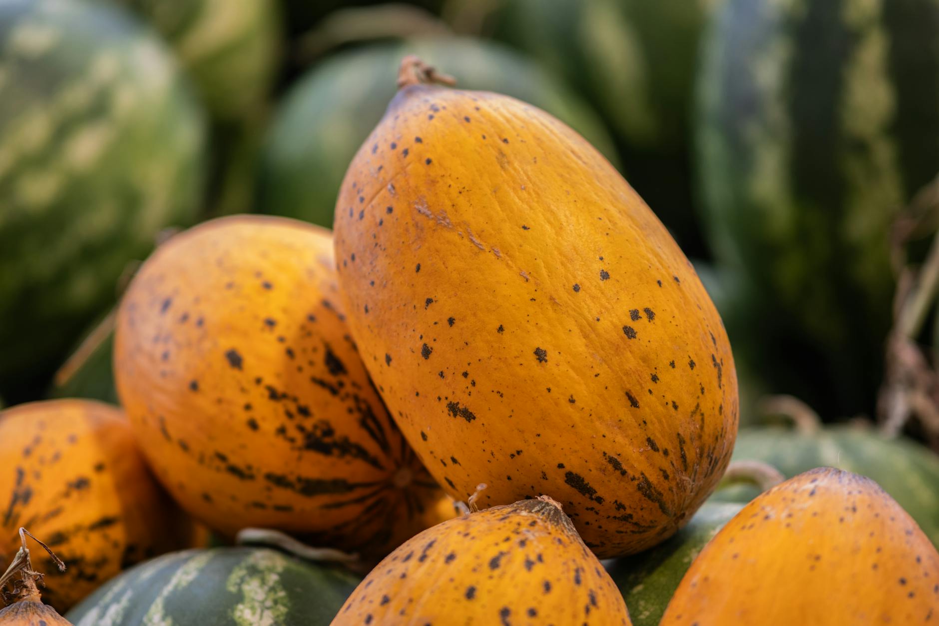 Seasonal Fruits And Vegetables