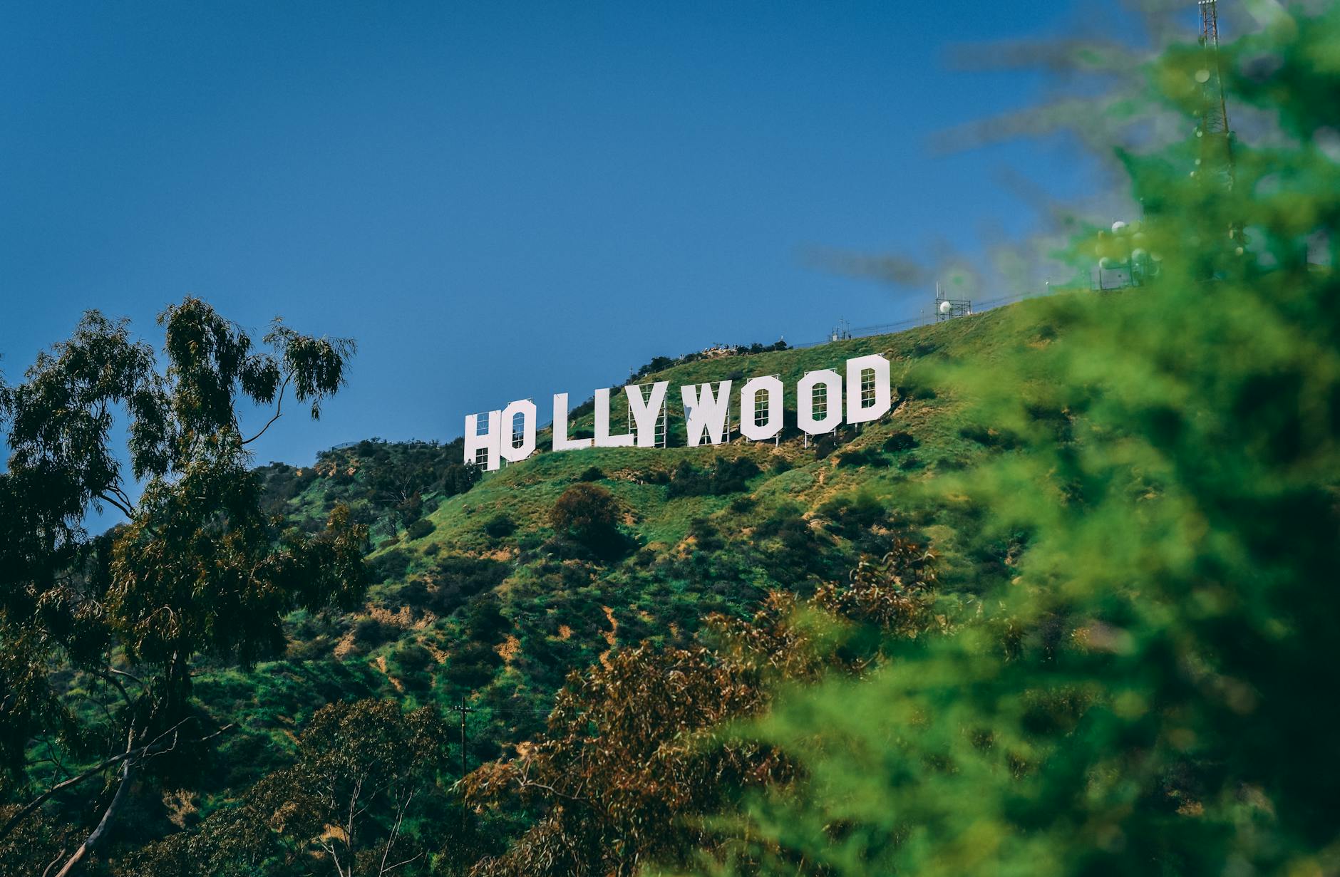 Hollywood Sign View From Park