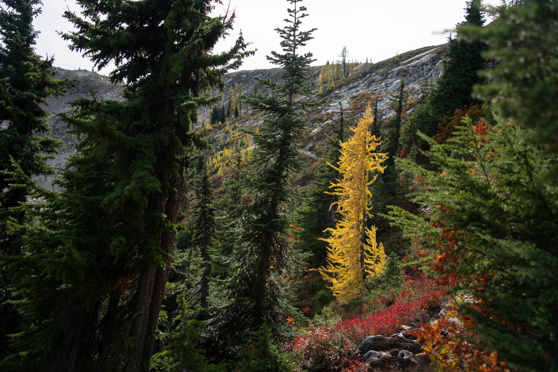 North Cascades National Park Hiking Landscapes