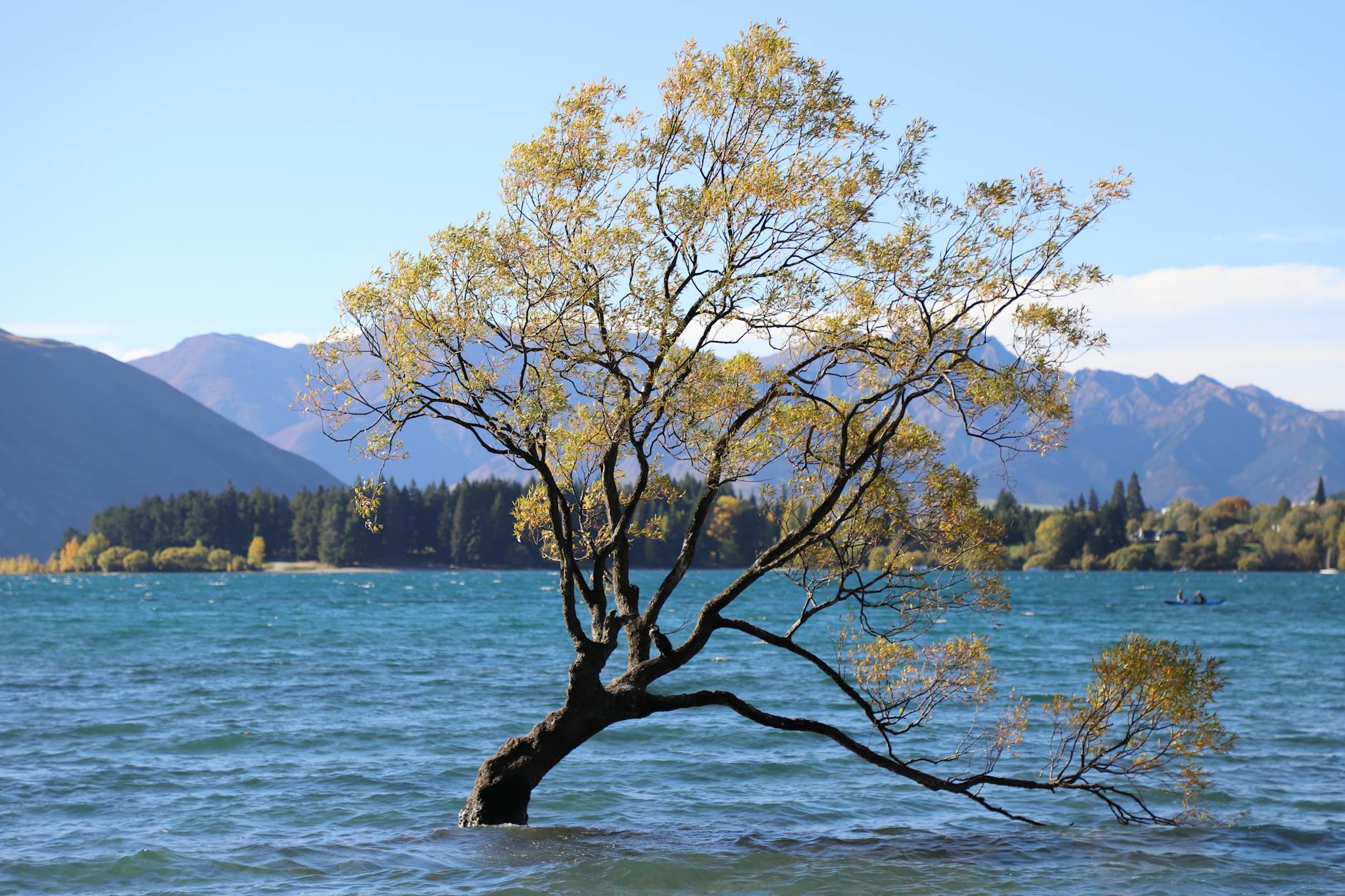 Wanaka New Zealand Lakefront Alpine Scenery Nature