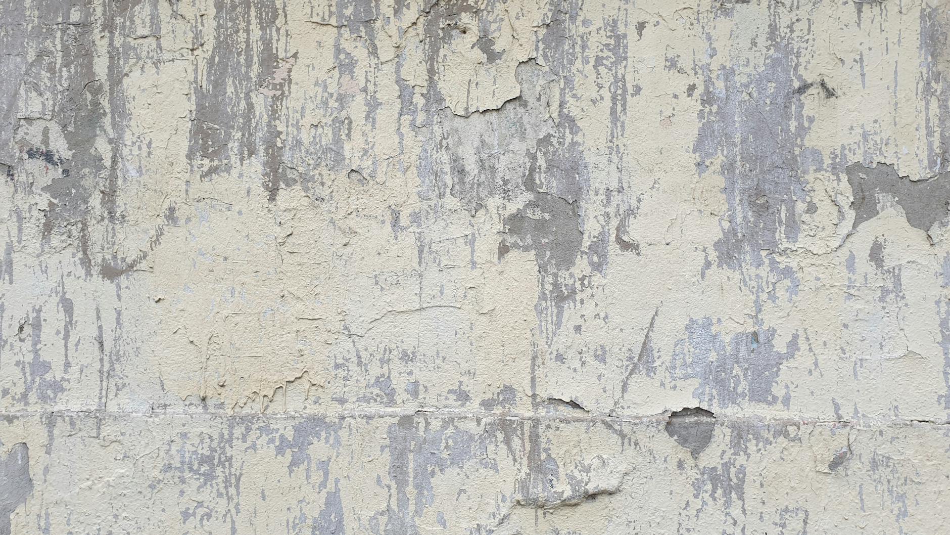 Bubbling Paint On Walls Mold Signs