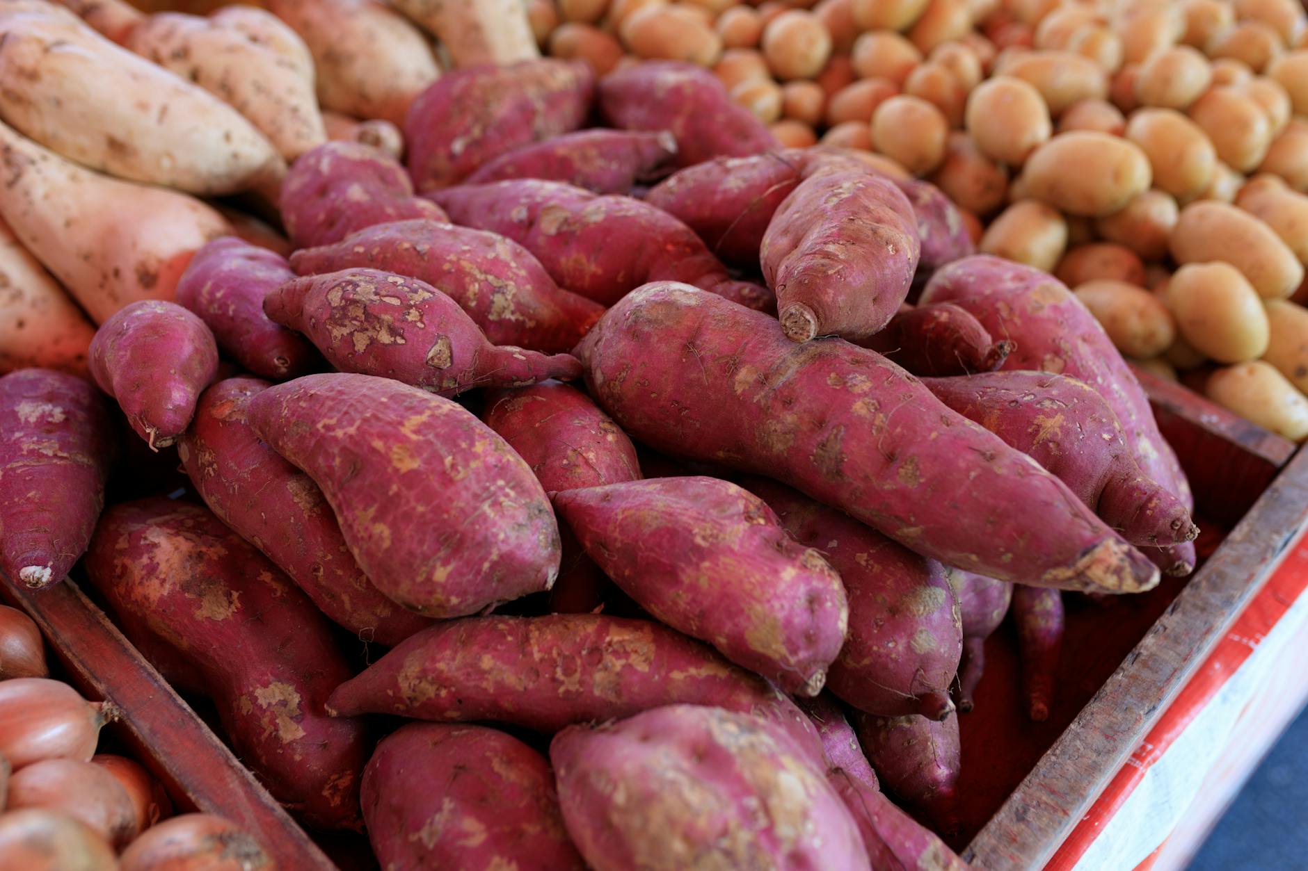 Sweet Potatoes Nutrition Health Benefits