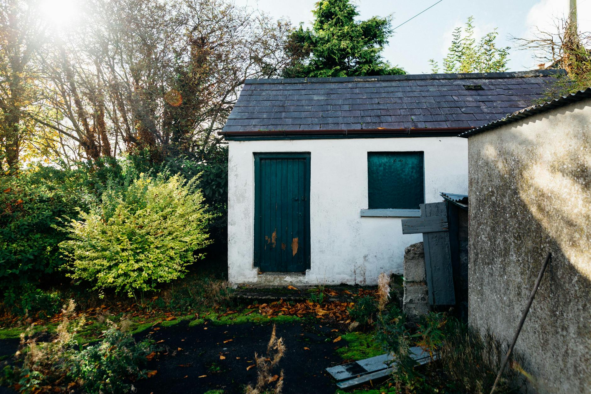 Exterior Shrubbery Home