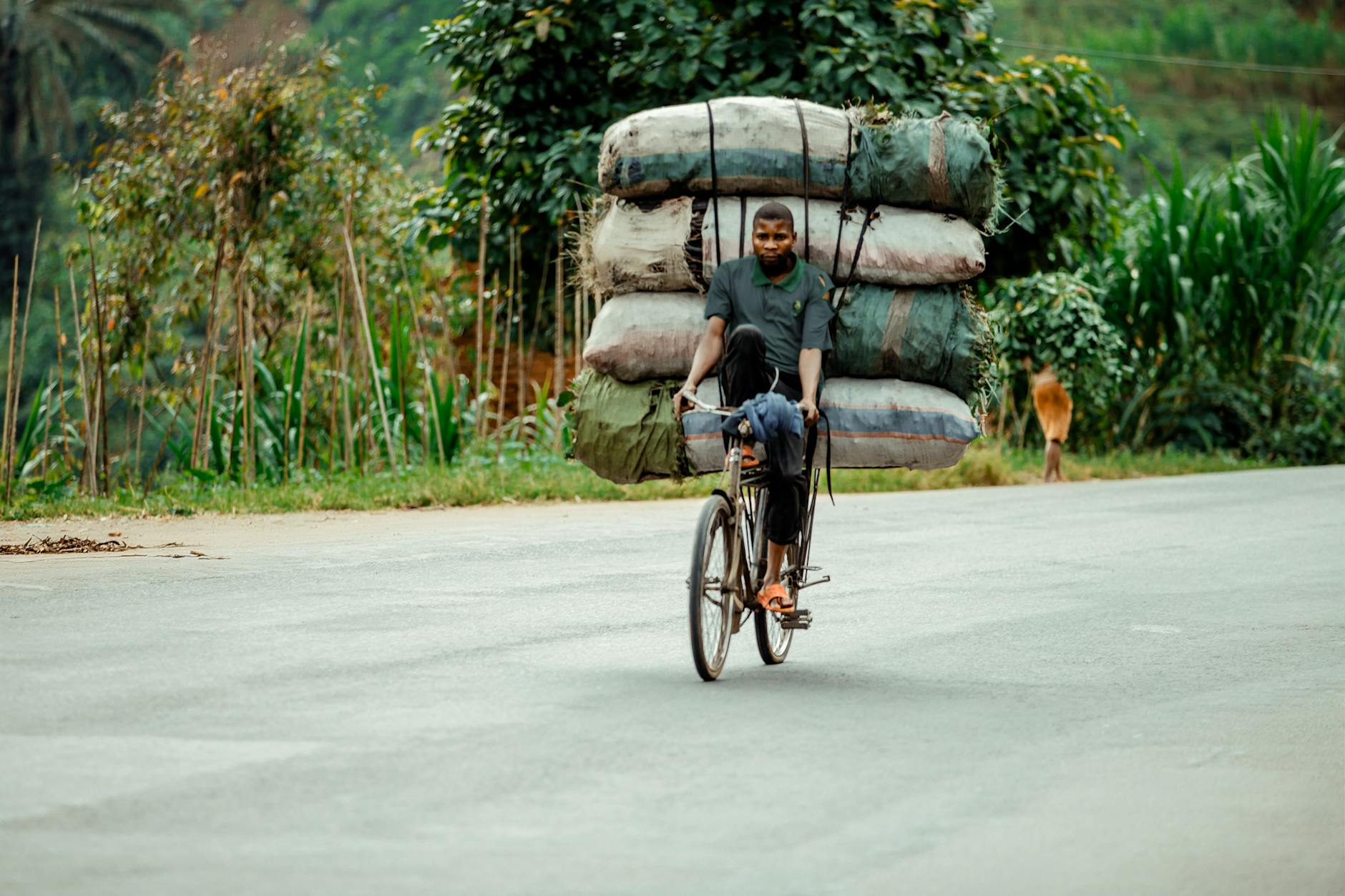 Improvised Solutions