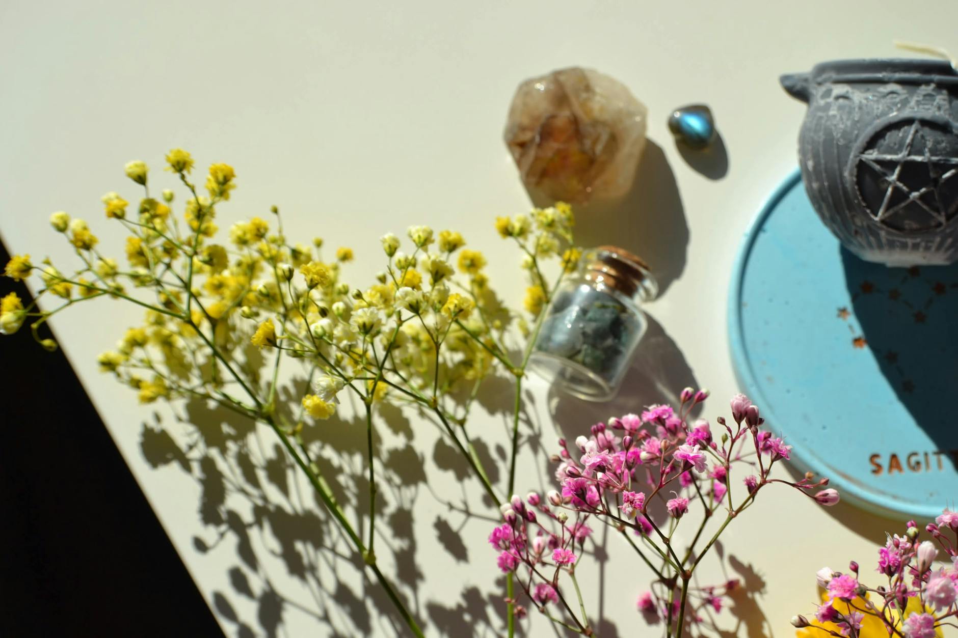 Sagittarius Zodiac Sign Intelligence Exploration Curiosity