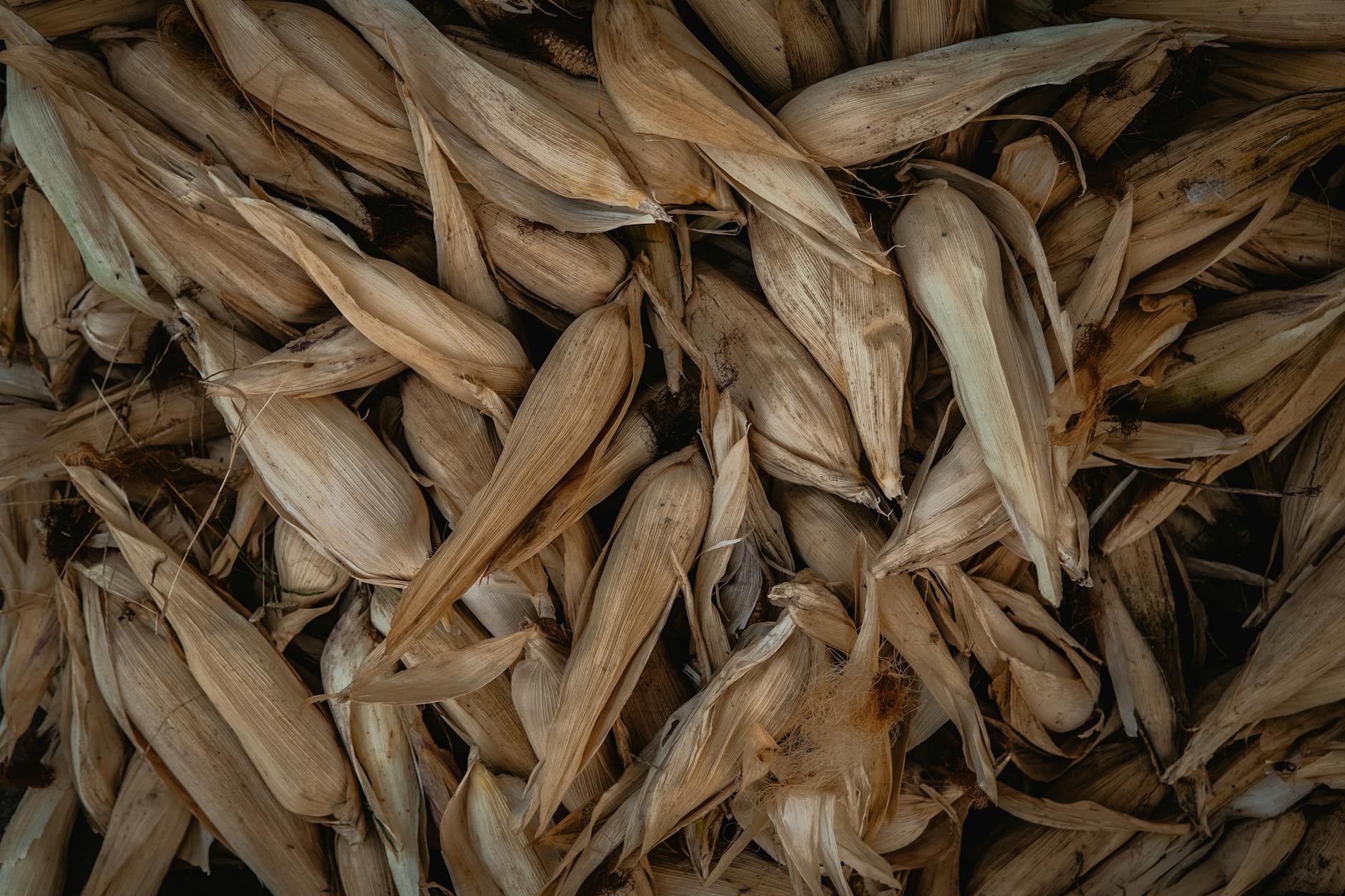 Corn Husks Garbage Disposal