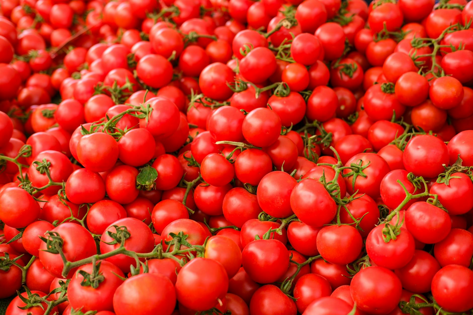 Raw Tomatoes Food