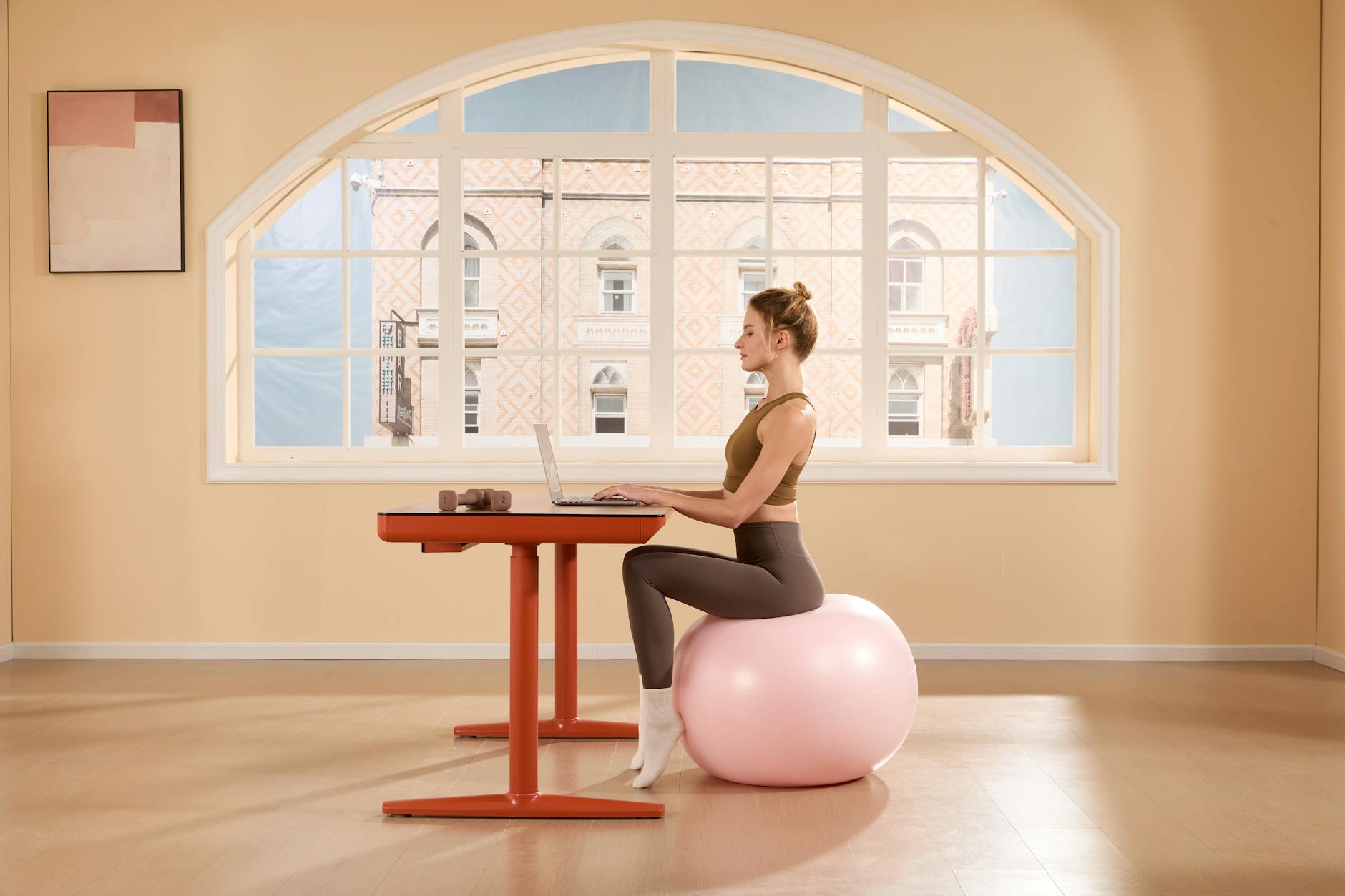 Exercise Ball Chair Home Office