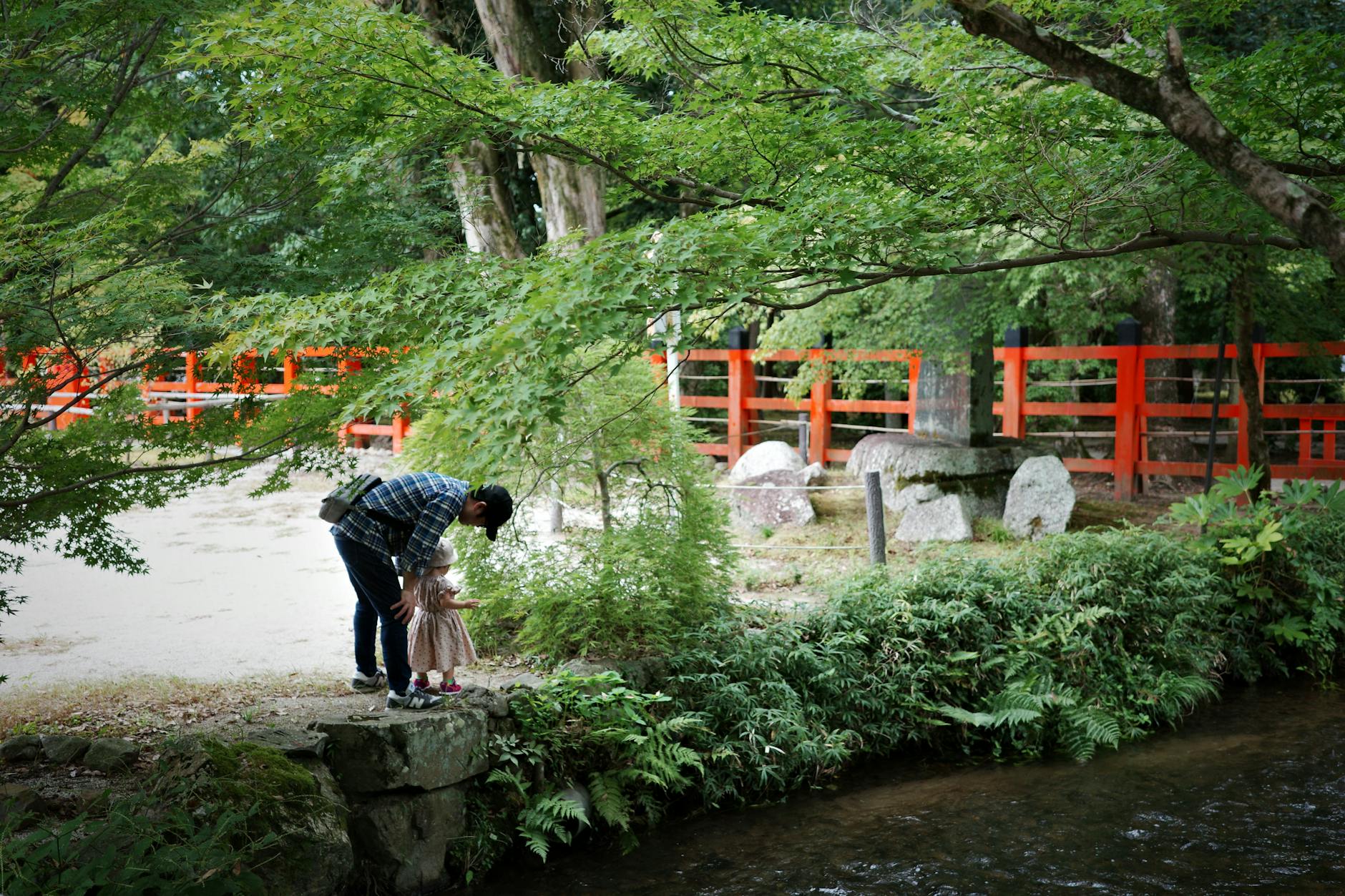 Family Tree With Eyes