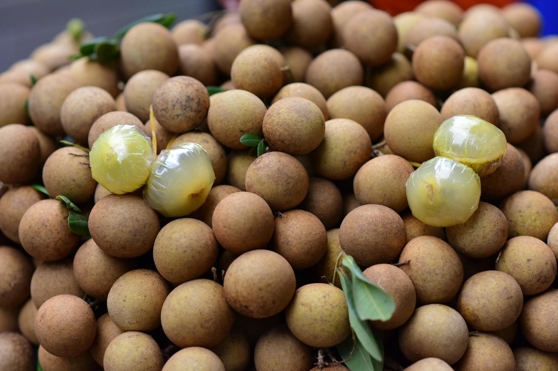 Longan Fruit
