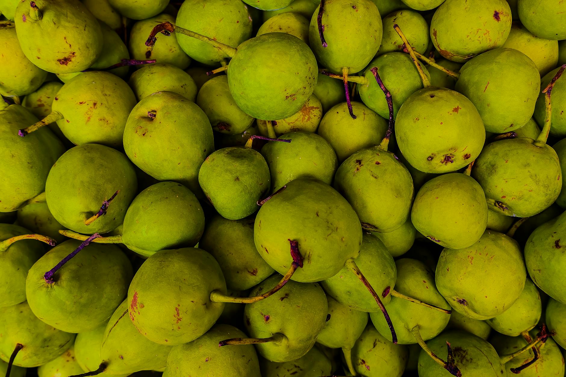 Pears