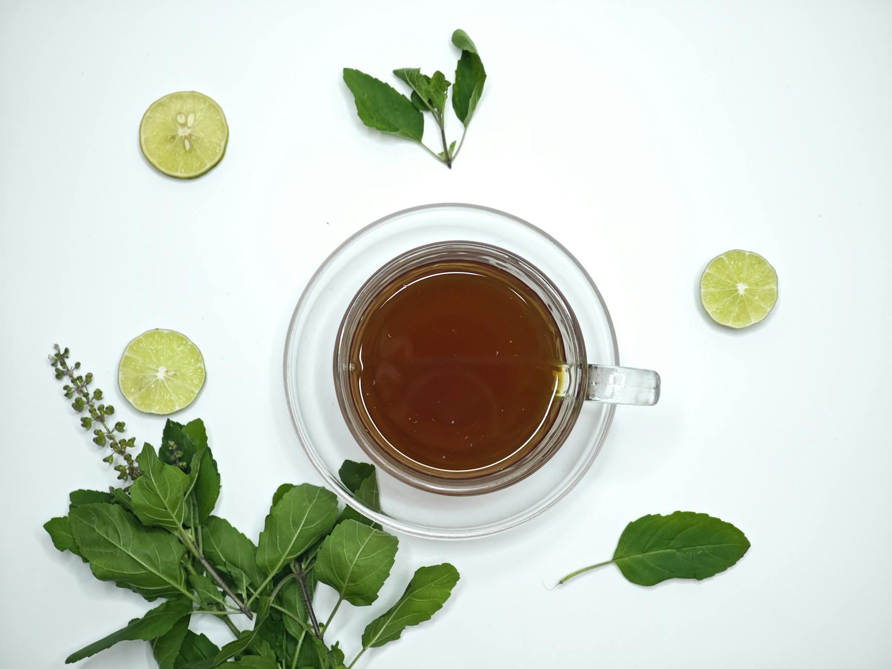 Green Tea Antioxidants Immune System