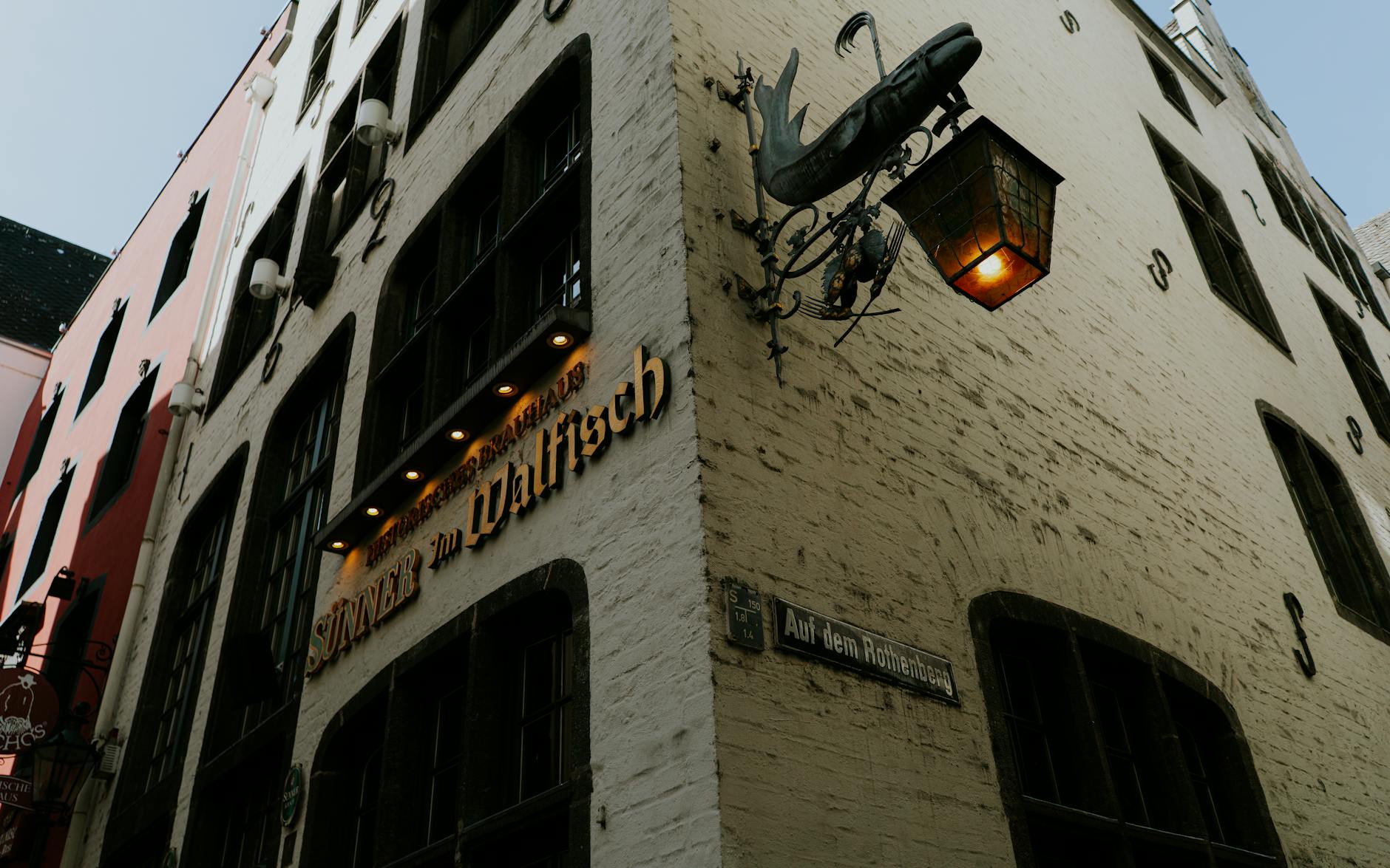 Cologne Food Culture Beer Pub Atmosphere