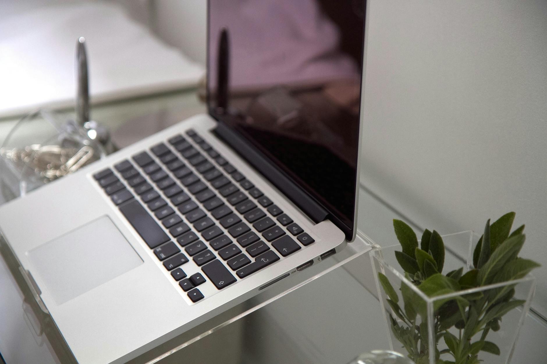 Niche Blogging Passive Income