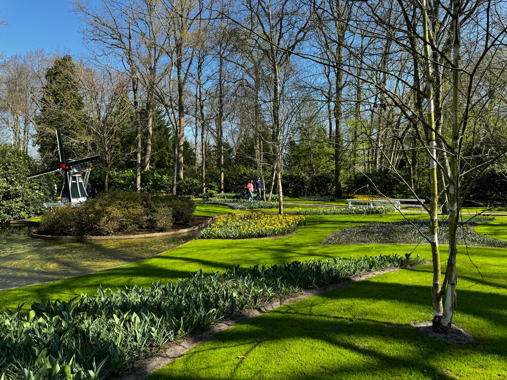 Keukenhof Gardens Tulips Vibrant Colors Windmills Water Features Netherlands
