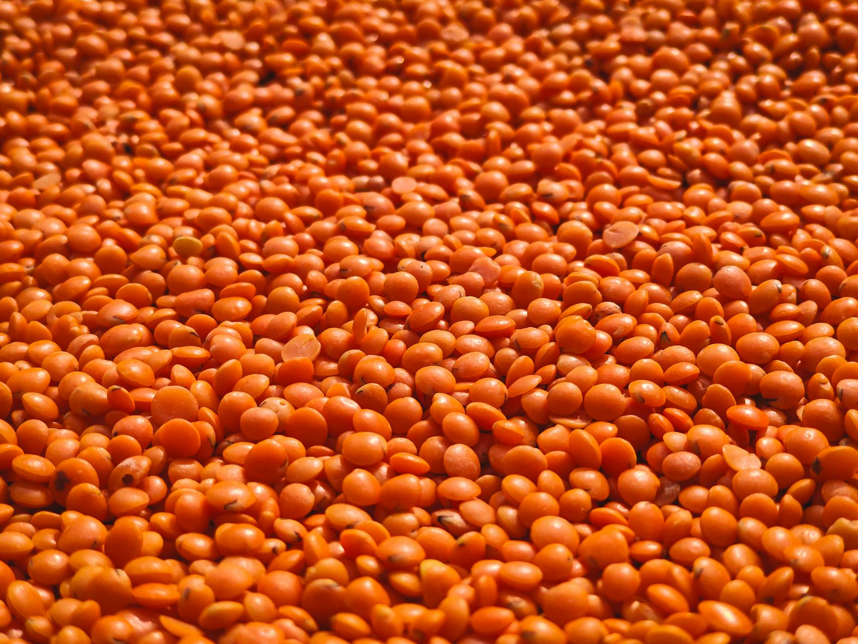 Lentils Superfood Immune System