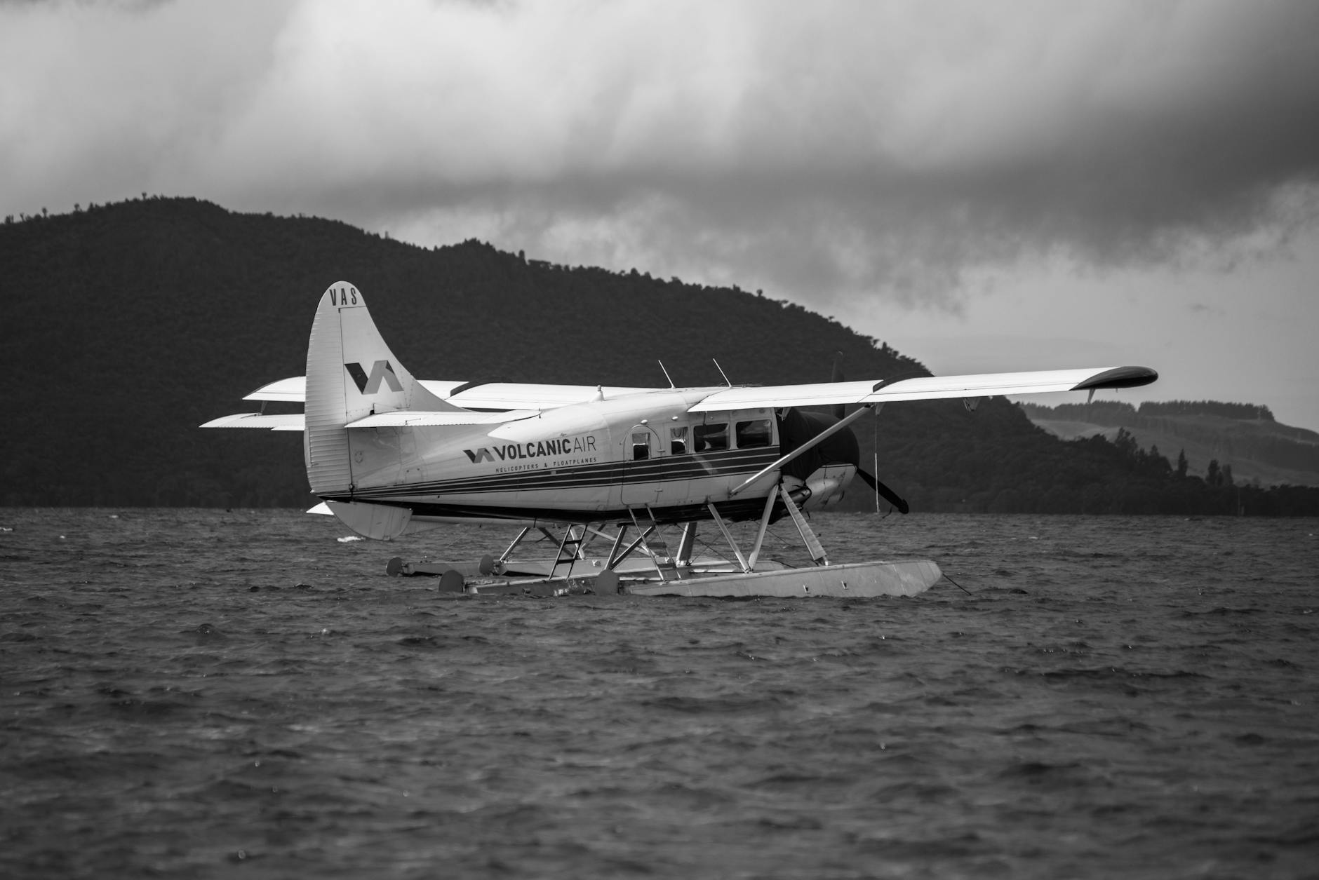 Zorbing In Rotorua New Zealand