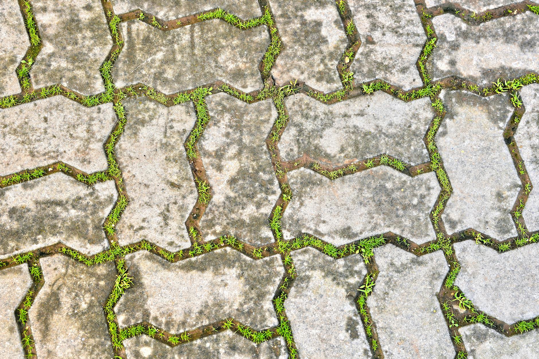 Soil And Concrete Gap