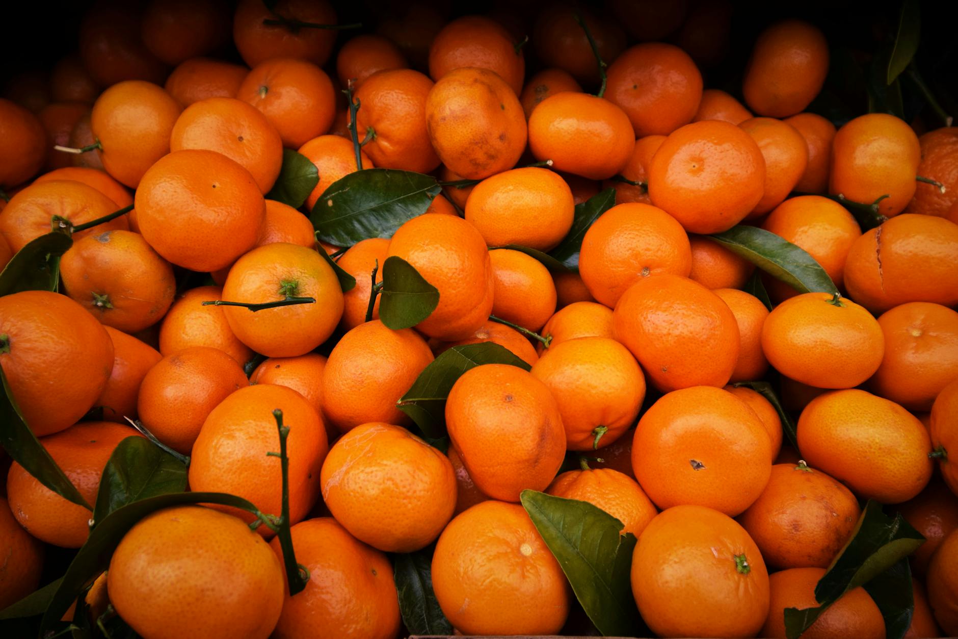 Mandarin Oranges