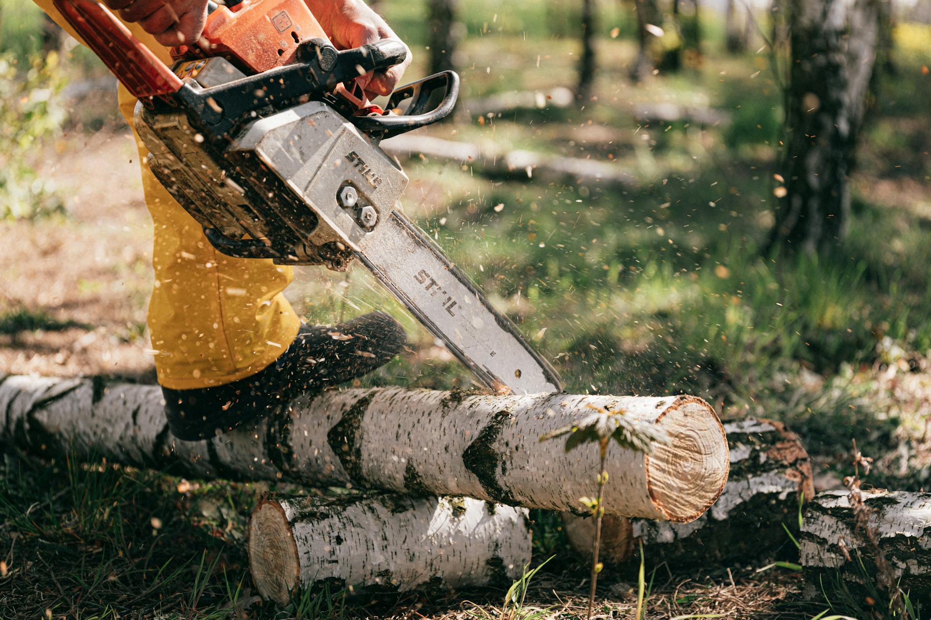 Used Chainsaws Safety Features