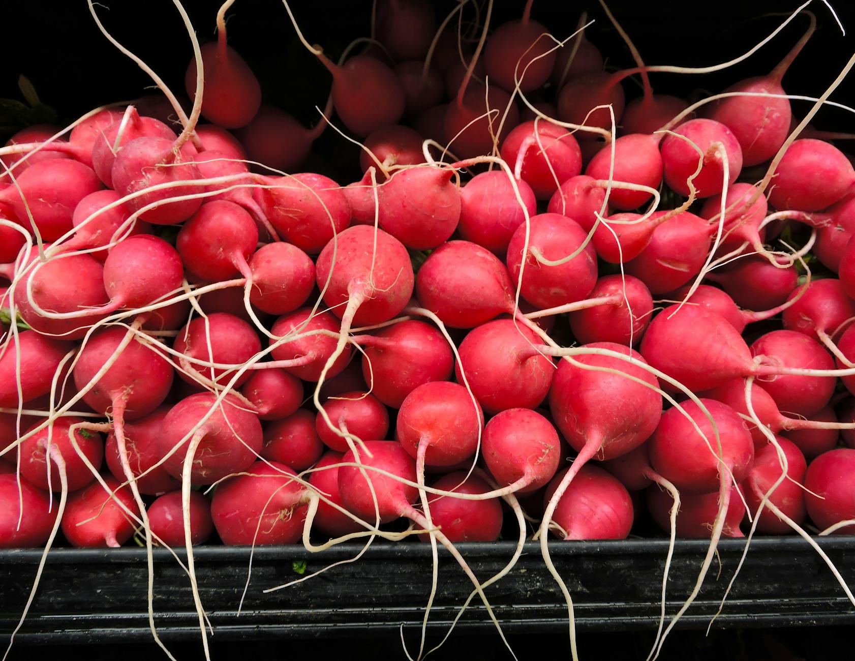 Raw Radishes Food