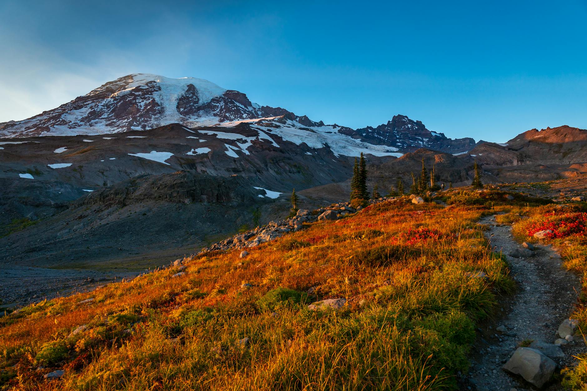 Mount Rainier National Park Hiking Trails Wildflowers Glaciers