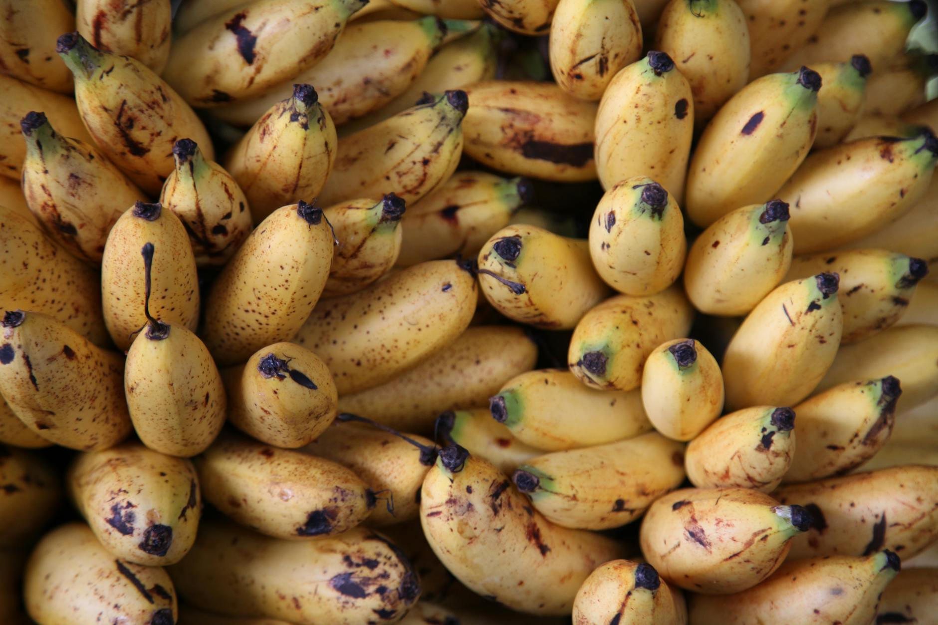 Bananas With Brown Spots