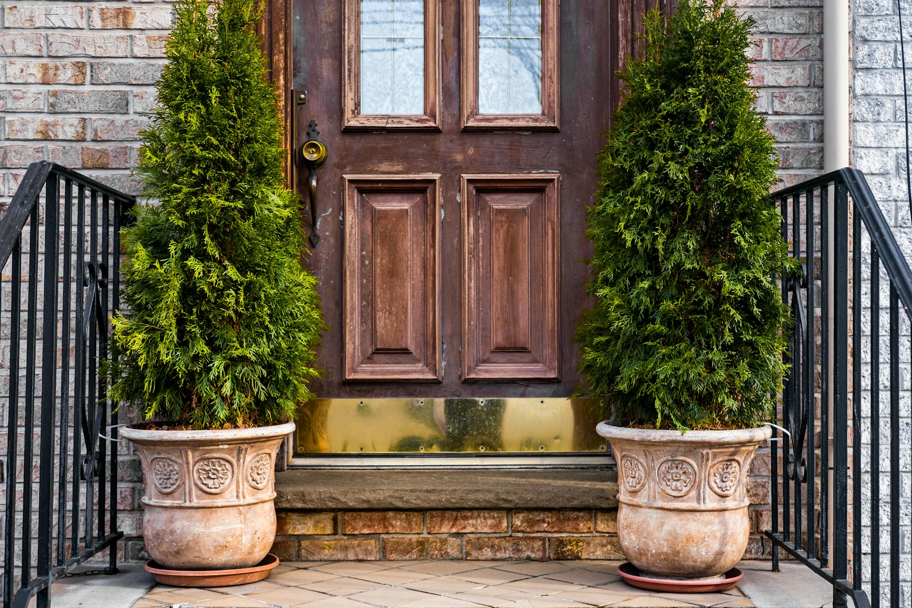 Symmetrical Front Door Decor Plants Lighting