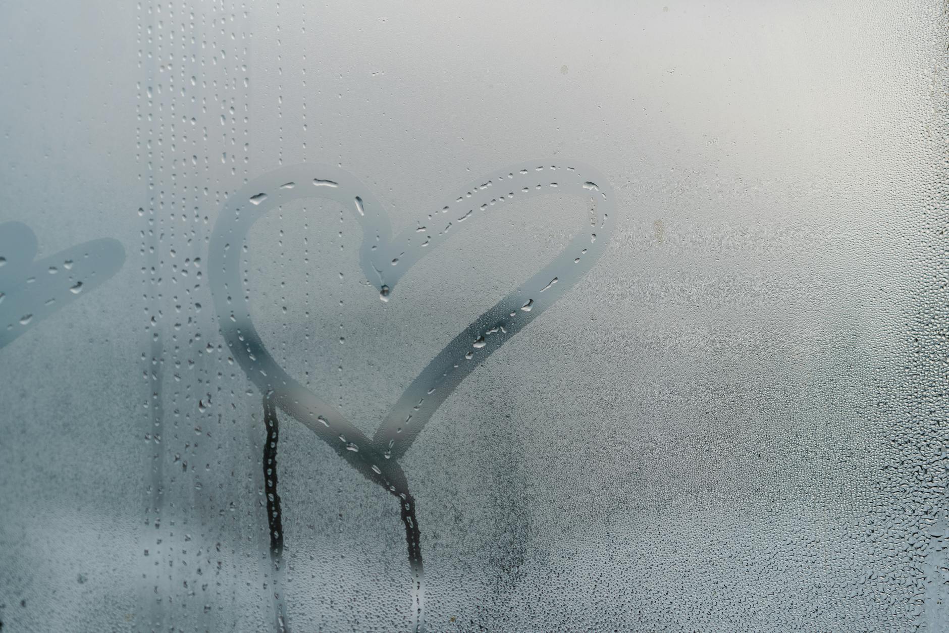 Moisture-affected Crawlspace