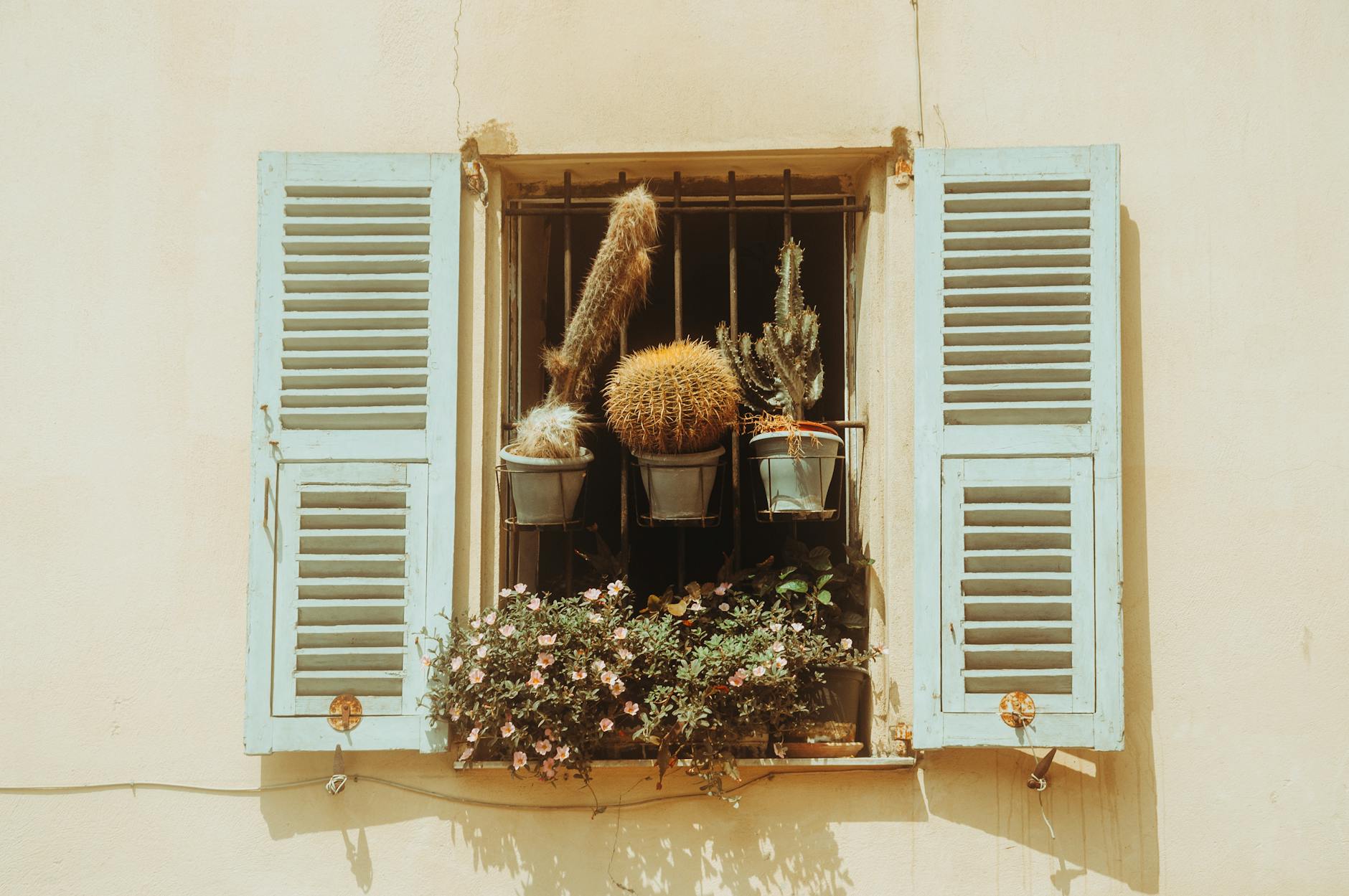 Repurposed Window Shutters Vertical Garden Terracotta Pots