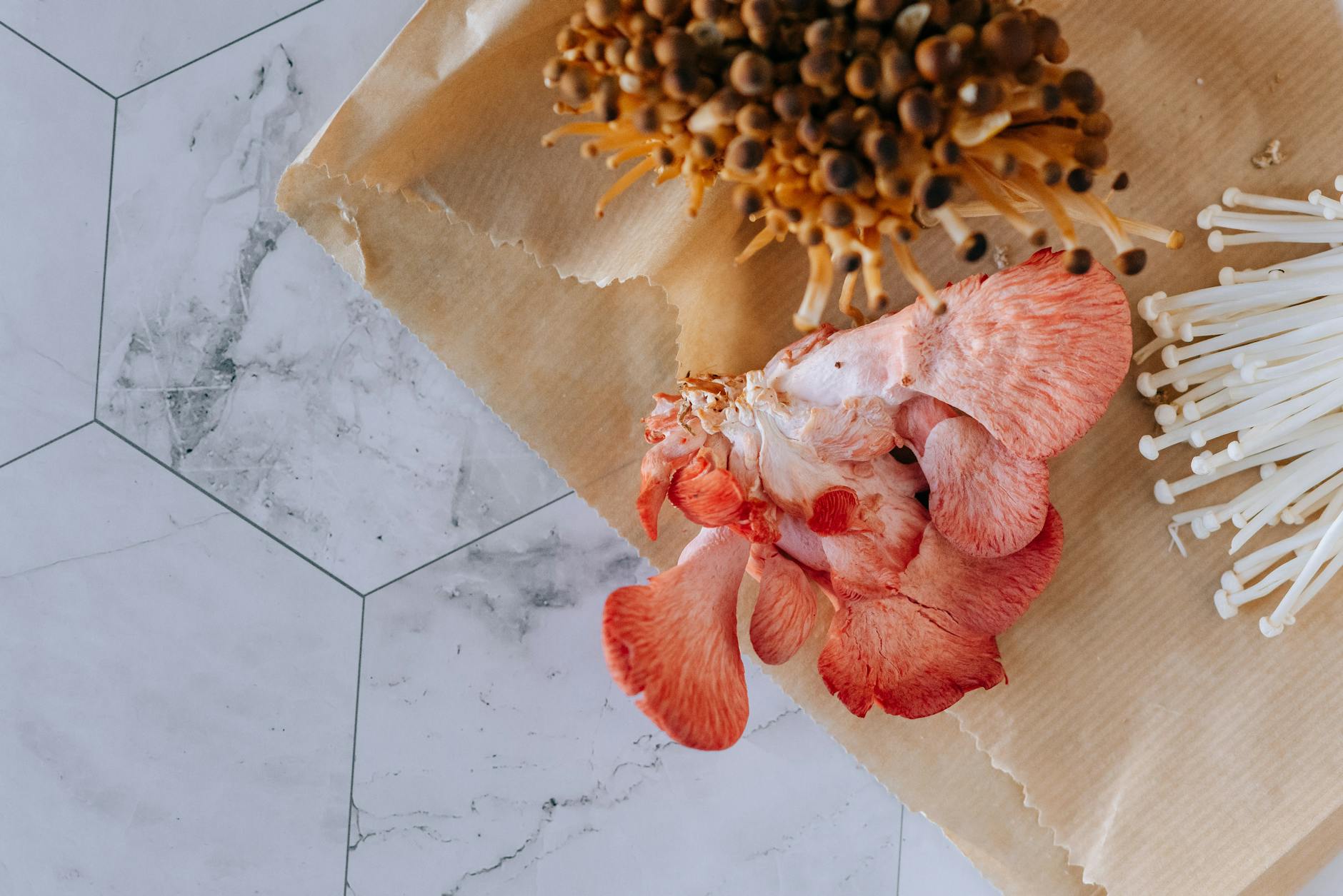 Reishi Mushroom Food