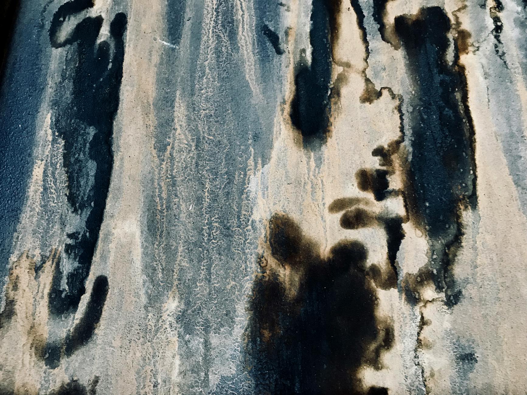 Upholstery Cleaning Mistakes Mildew Water Damage