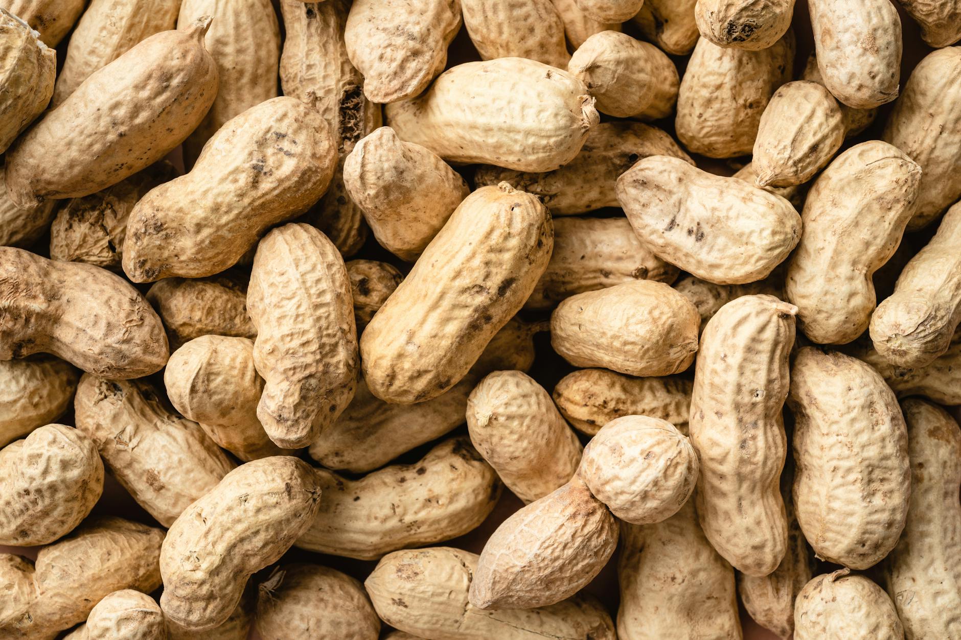 Peanuts Brain Health Nutrition