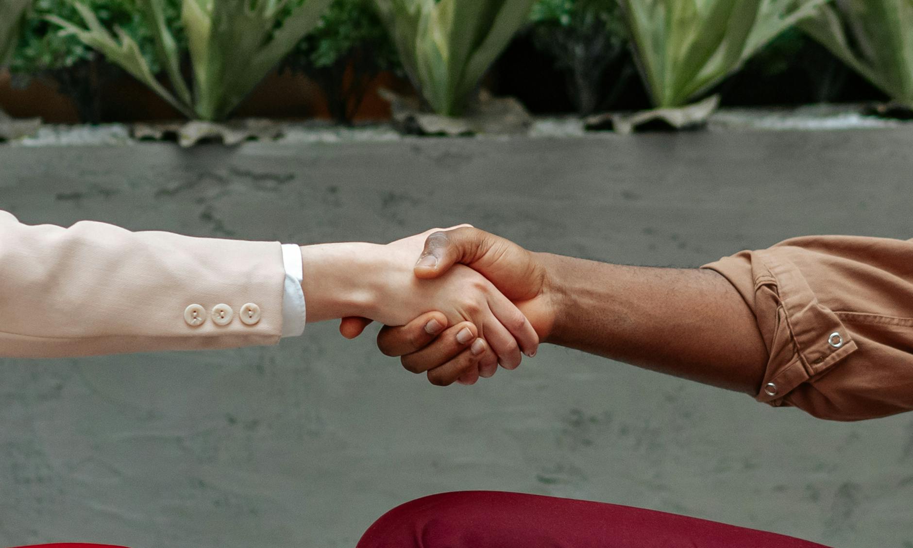 Two People Shaking Hands