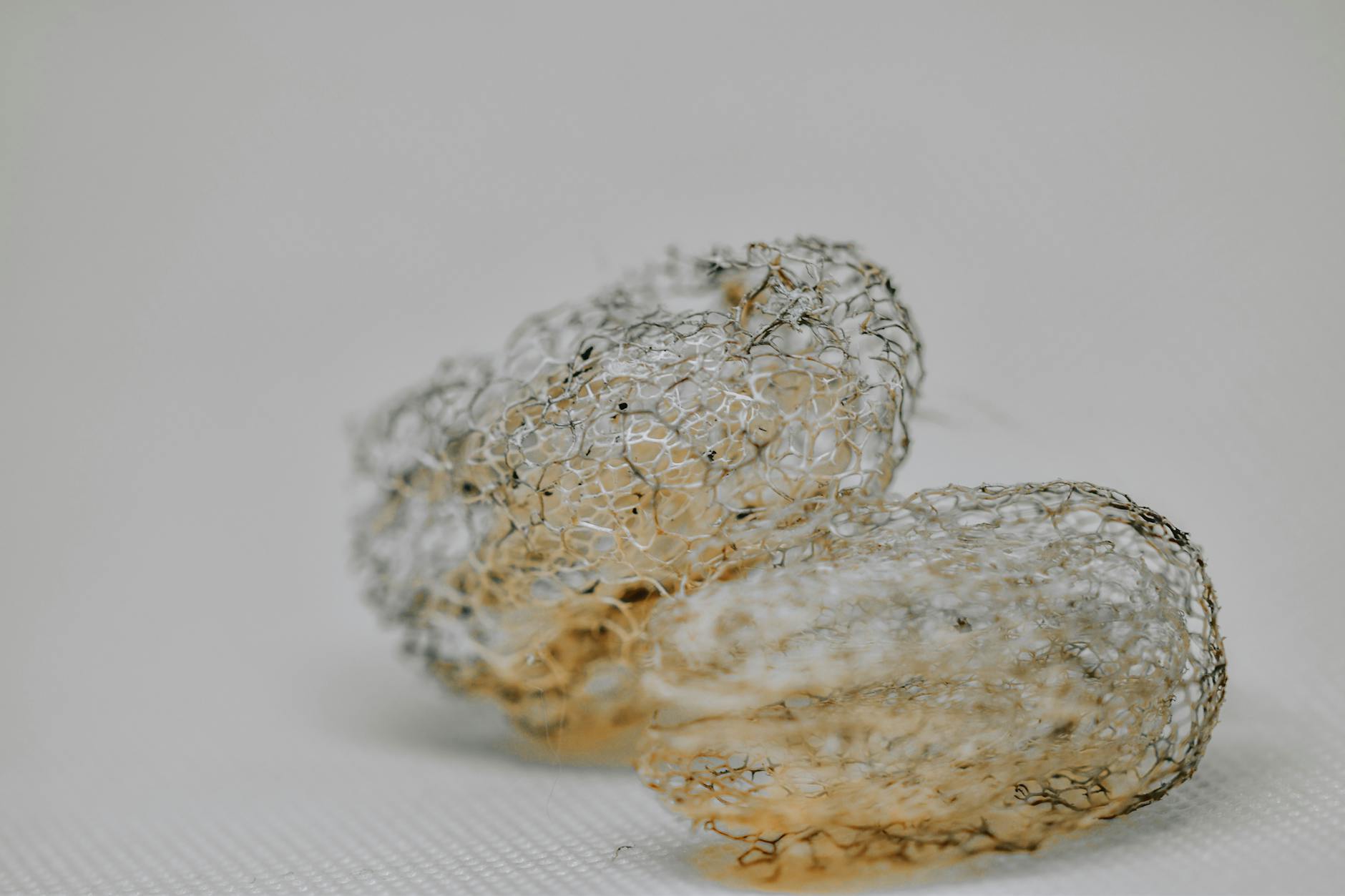 Natural Fiber Loofahs Waste