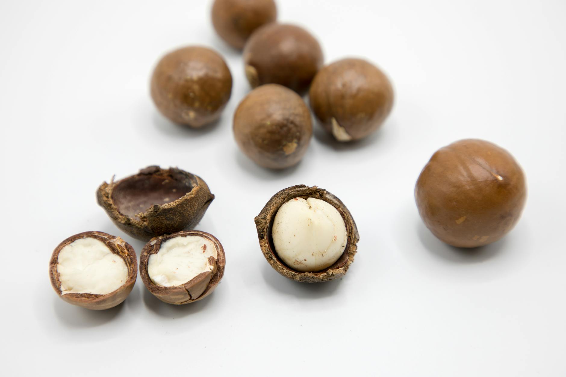 Macadamia Nuts Food