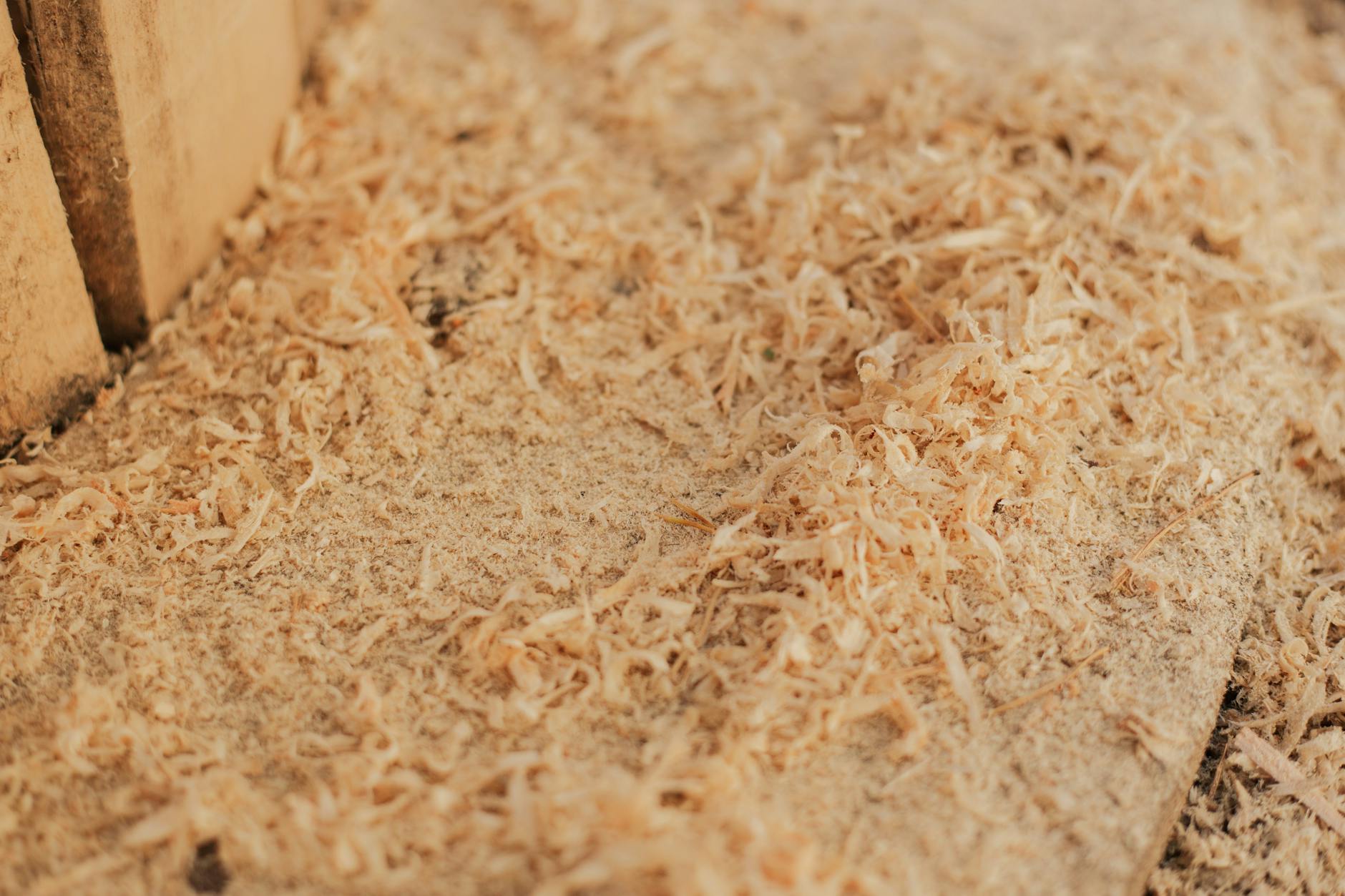 Fine Sawdust