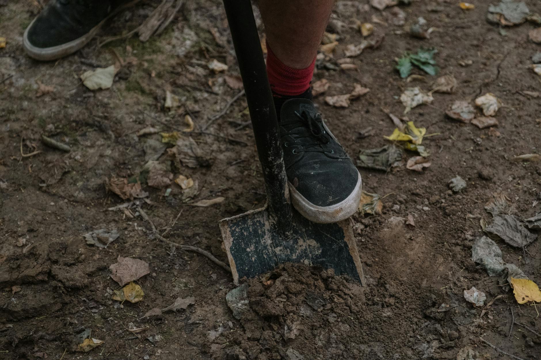 Person Using Soil Moisture Meter