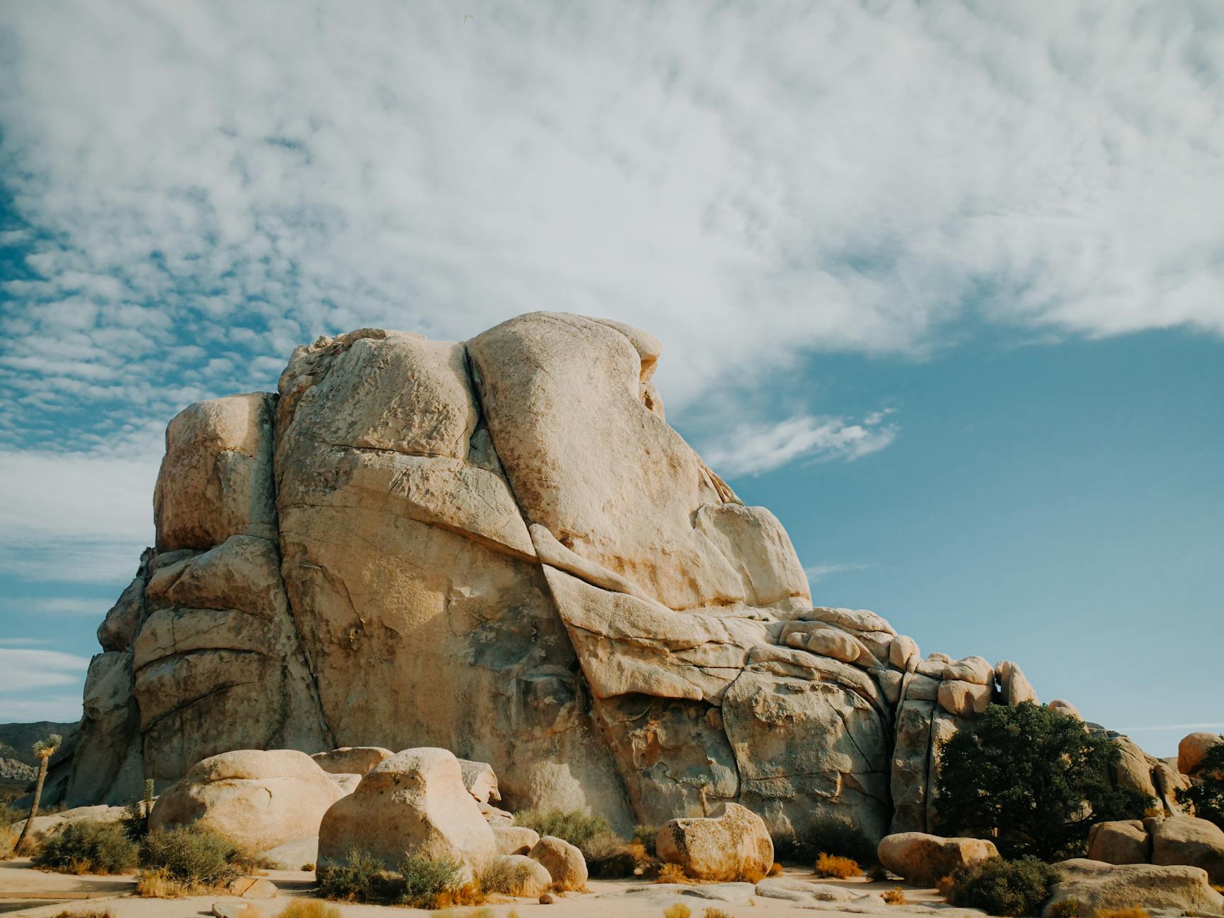 Joshua Tree National Park Landscape Photography