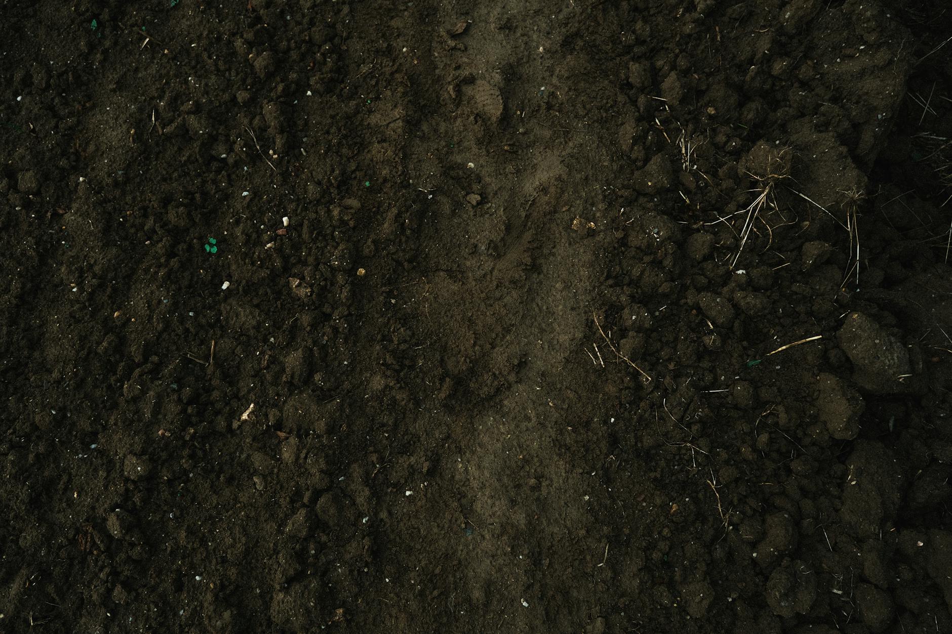 Neglecting Soil Quality